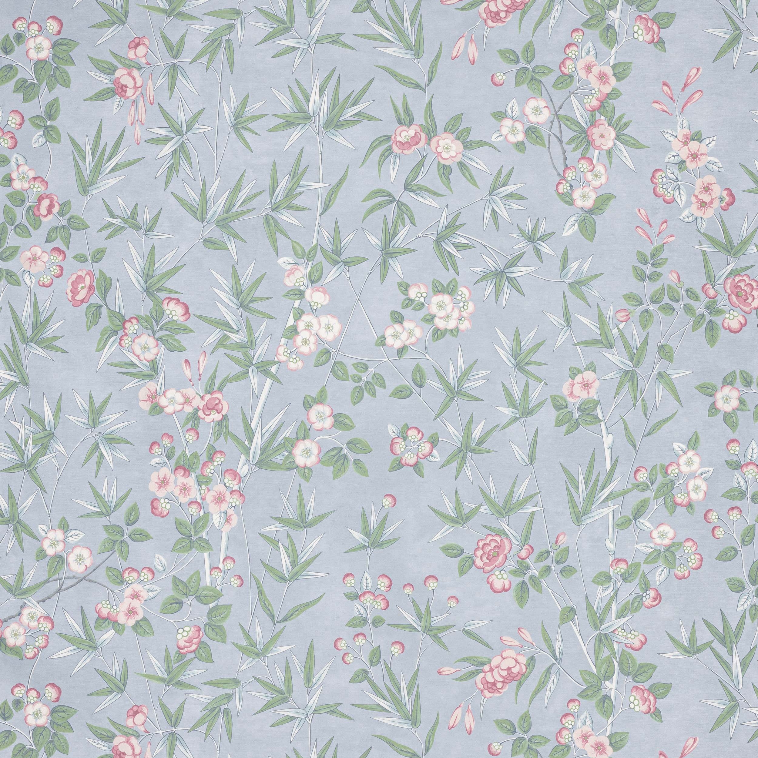 Manuel Canovas Haru Manuel Canovas Haru