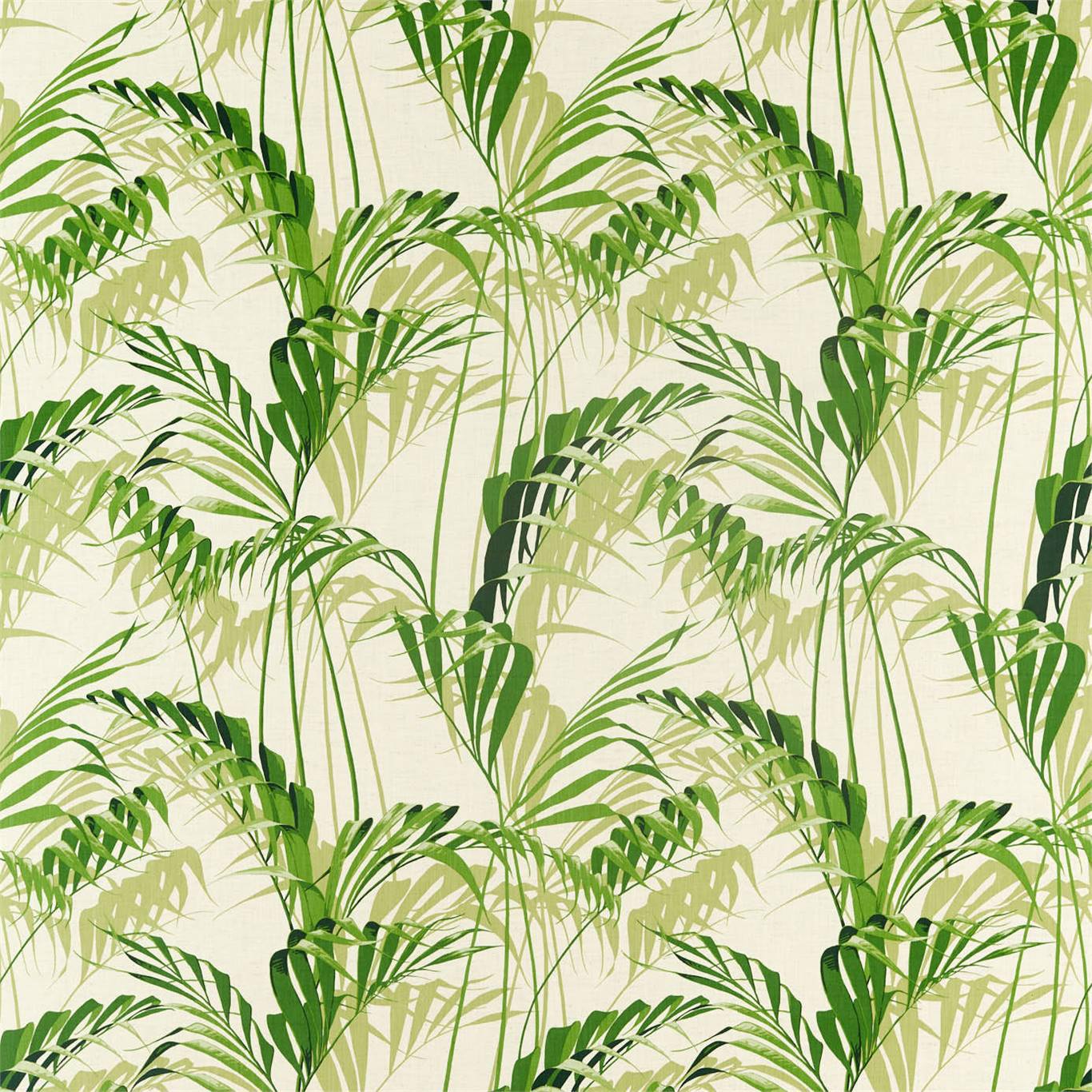 Sanderson Palm House