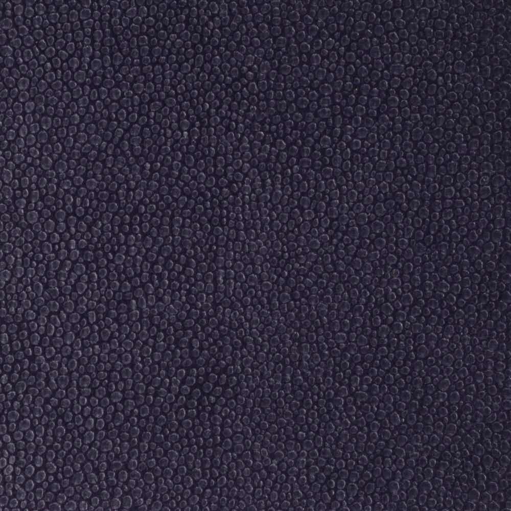 Métaphores Shagreen
