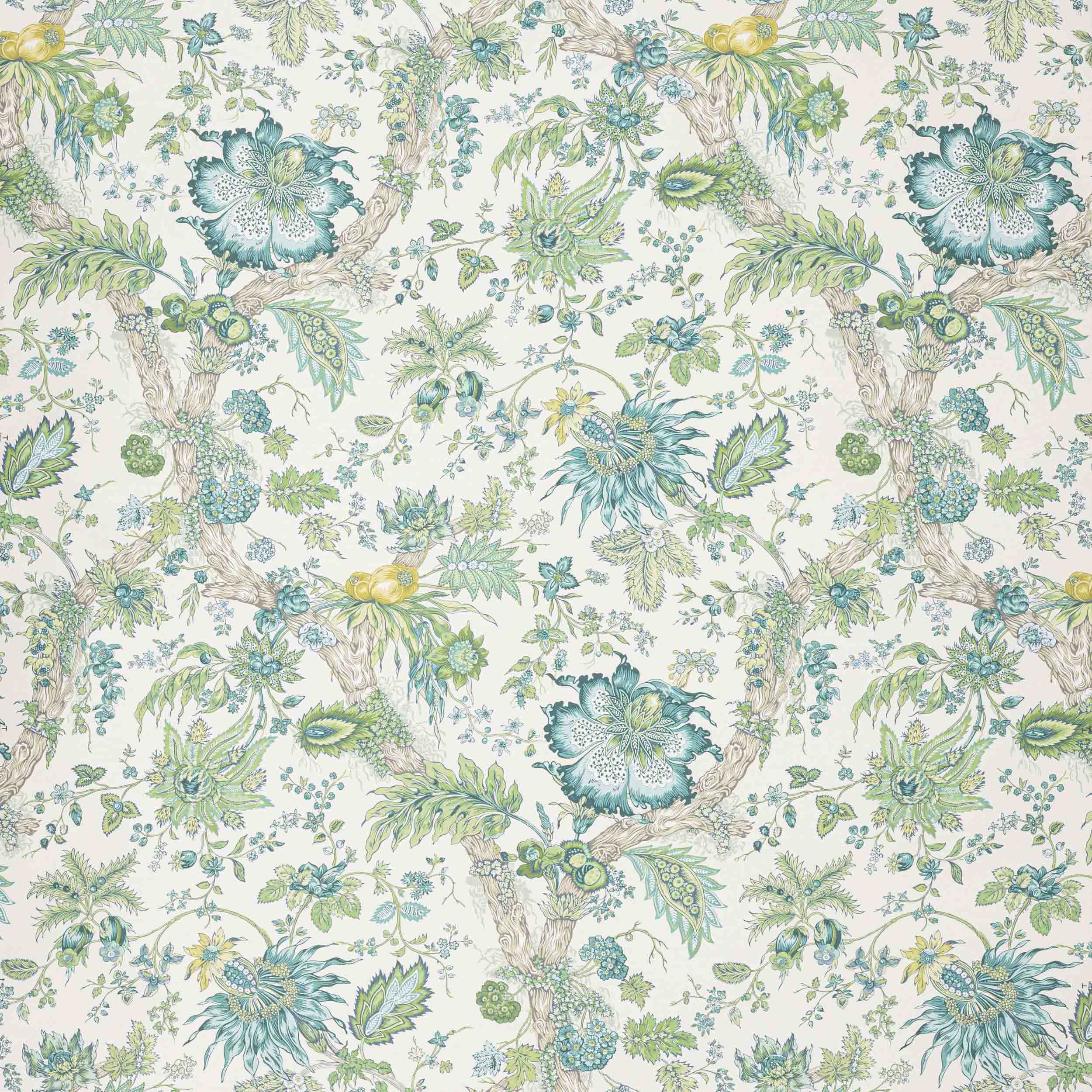 Manuel Canovas Adelaide Manuel Canovas Adelaide