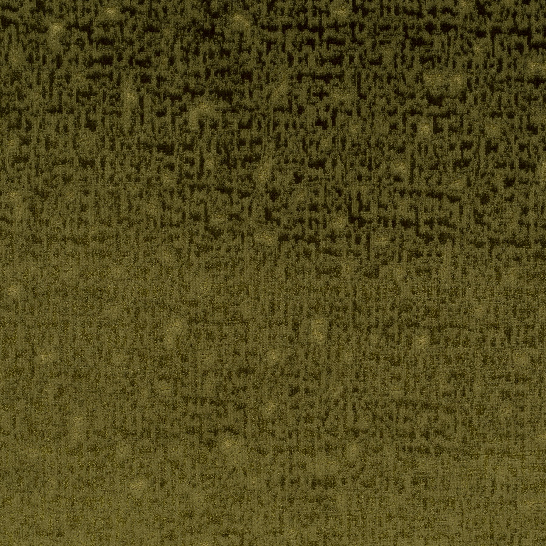 031