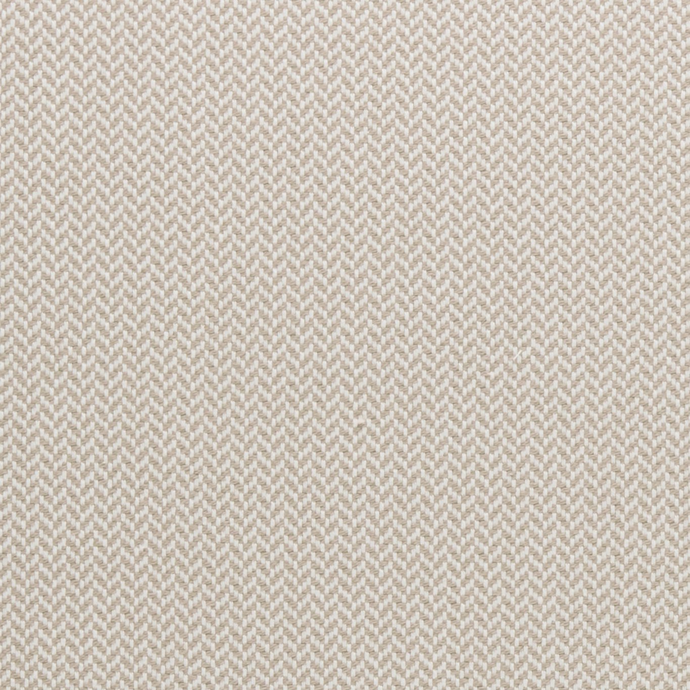 Clarke & Clarke Zalika