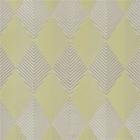 Acacia