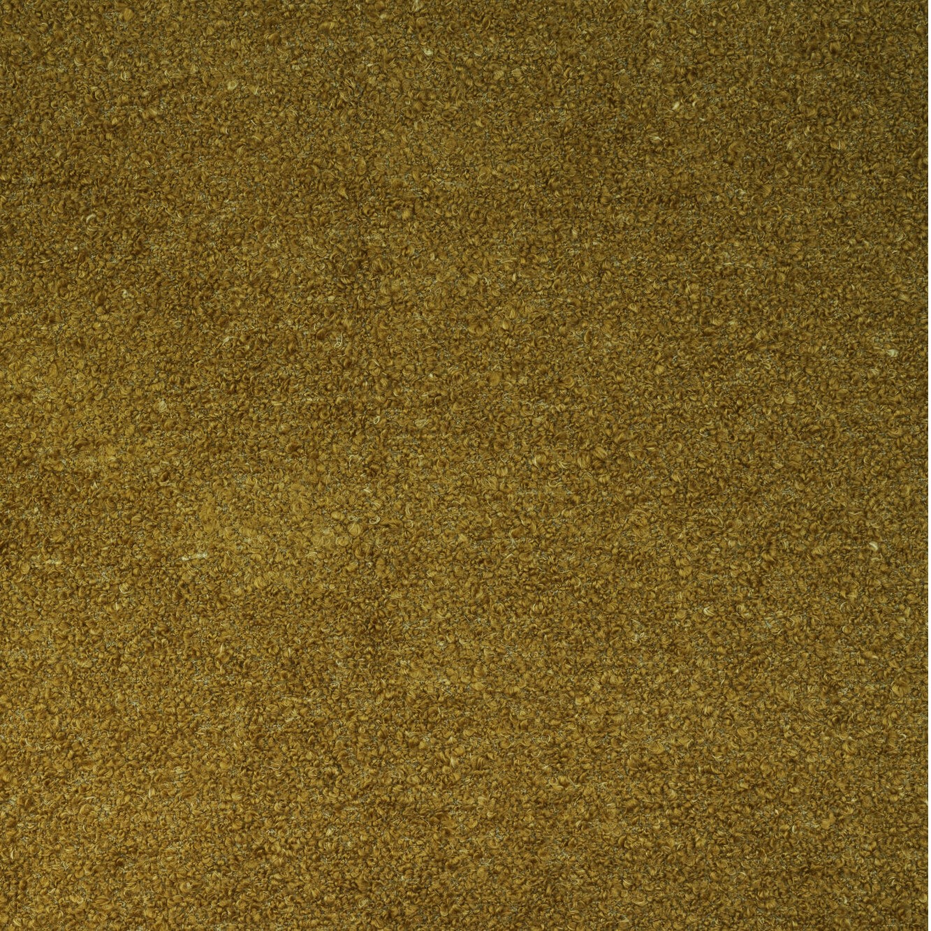 Fischbacher 1819 Boucle Sauvage