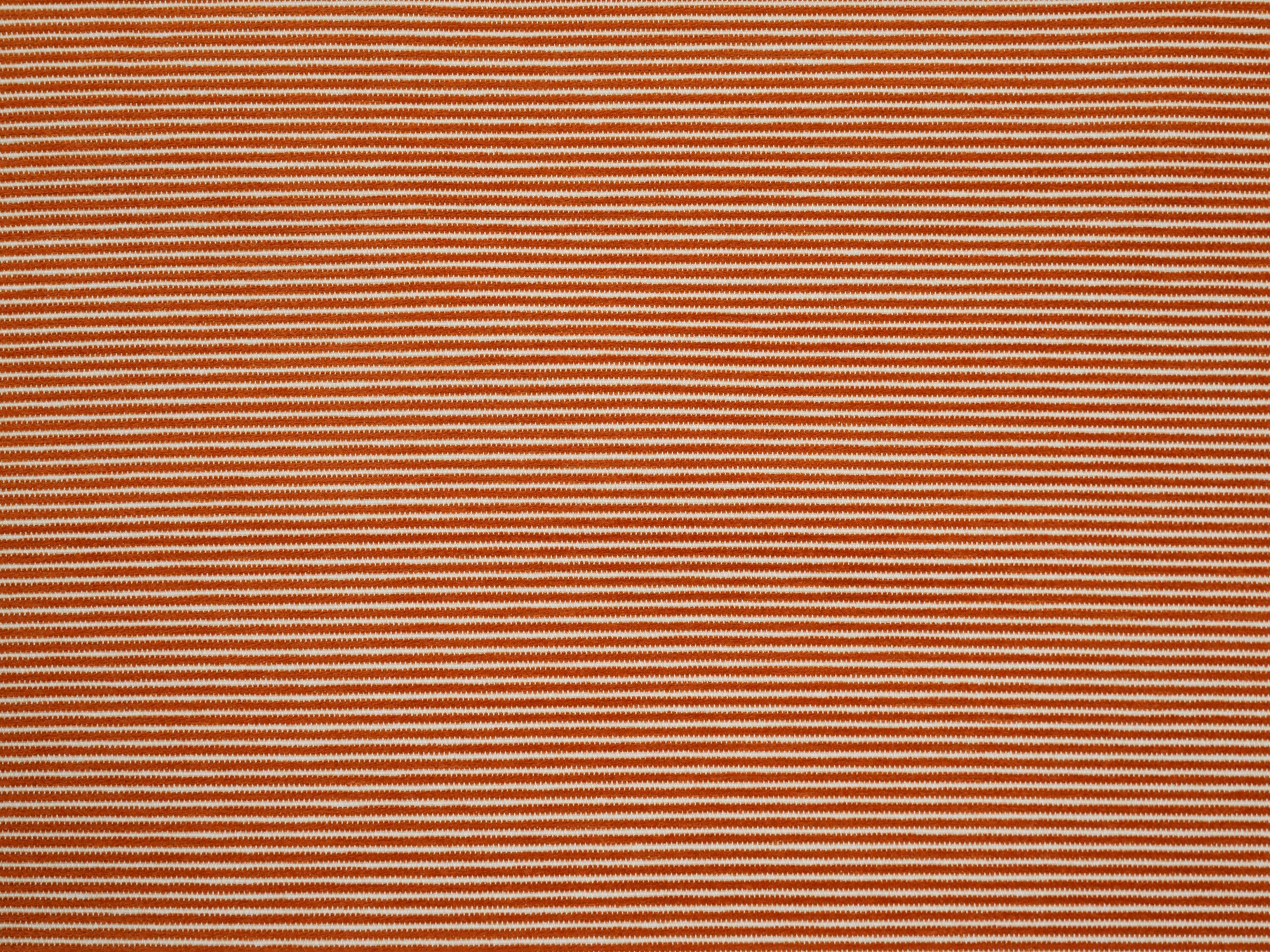 Jim Thompson Coastline