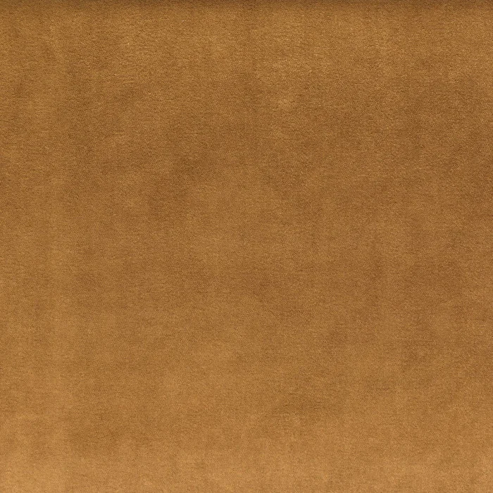 Ambre