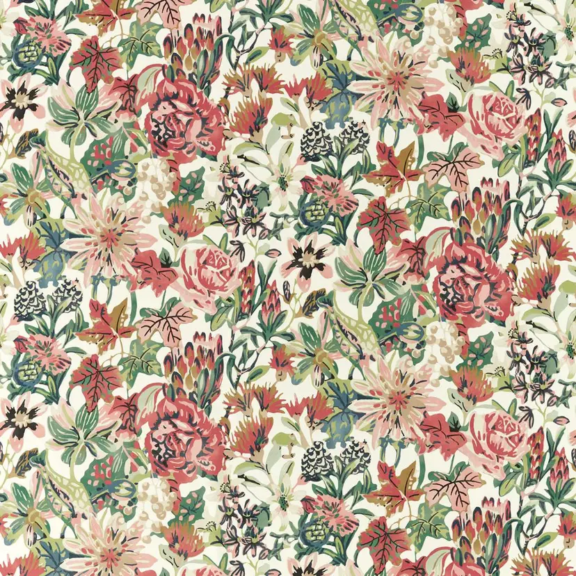 Harlequin Perennials