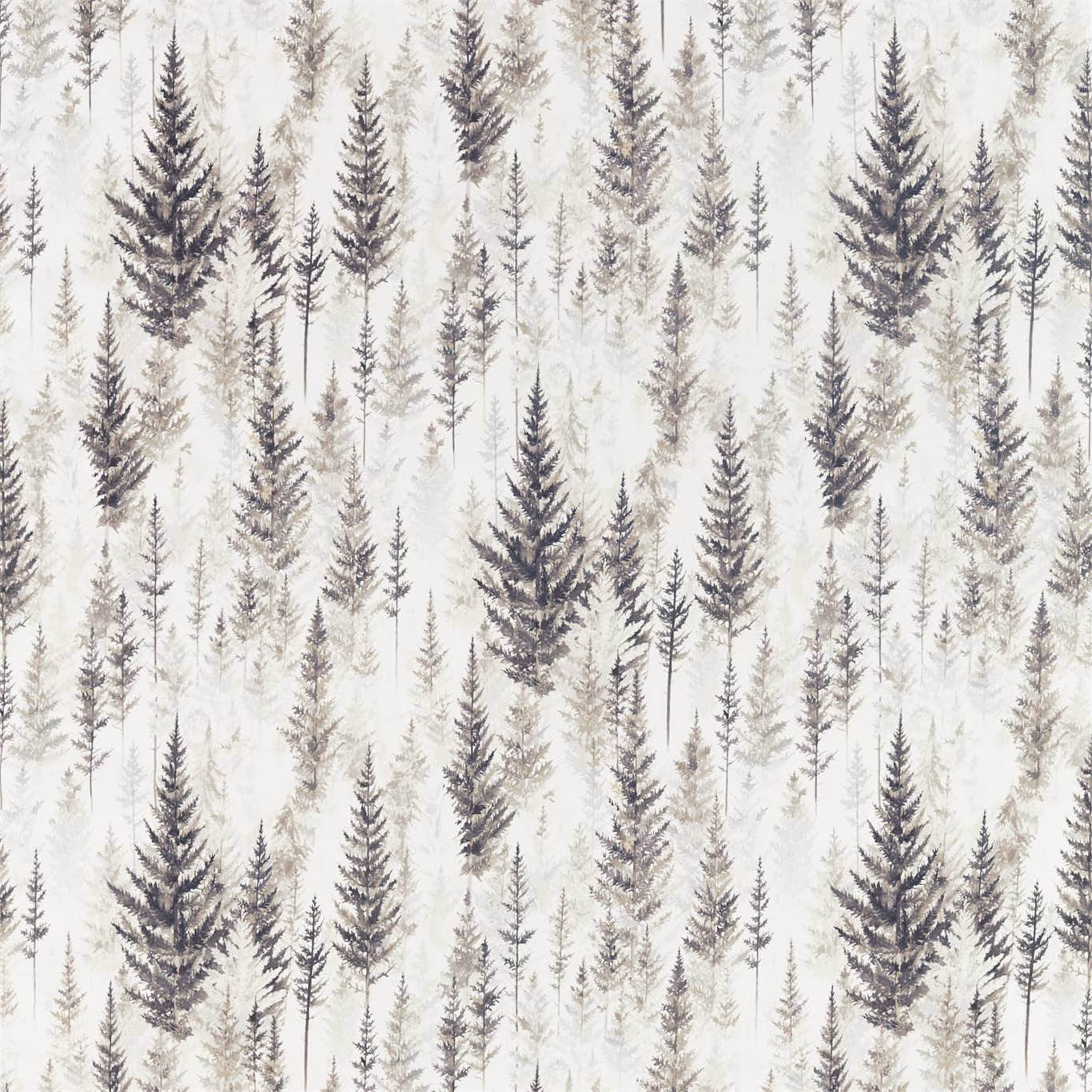 Sanderson Juniper Pine  