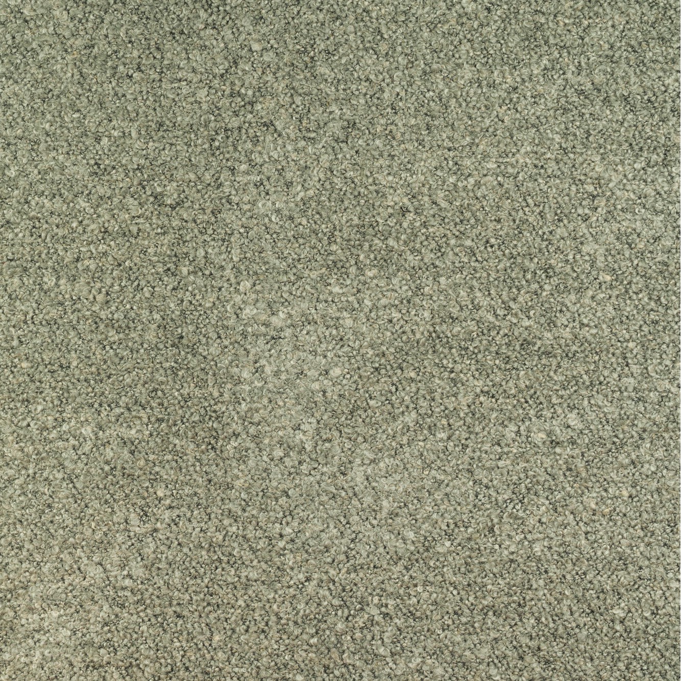 Fischbacher 1819 Boucle Sauvage