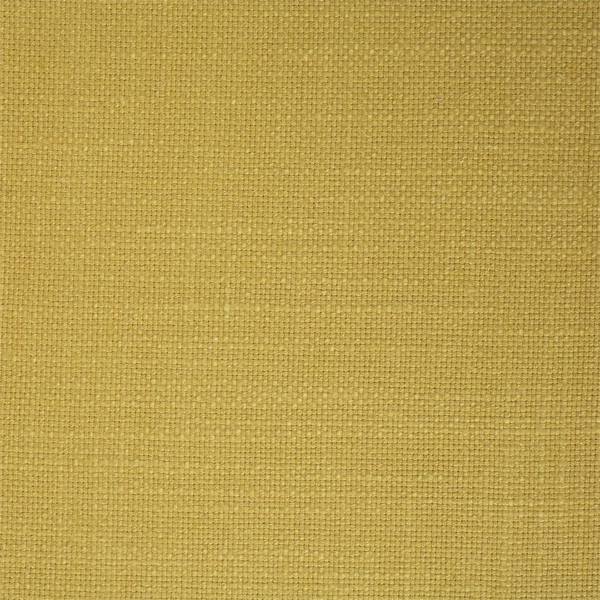 Sunflower Yellow