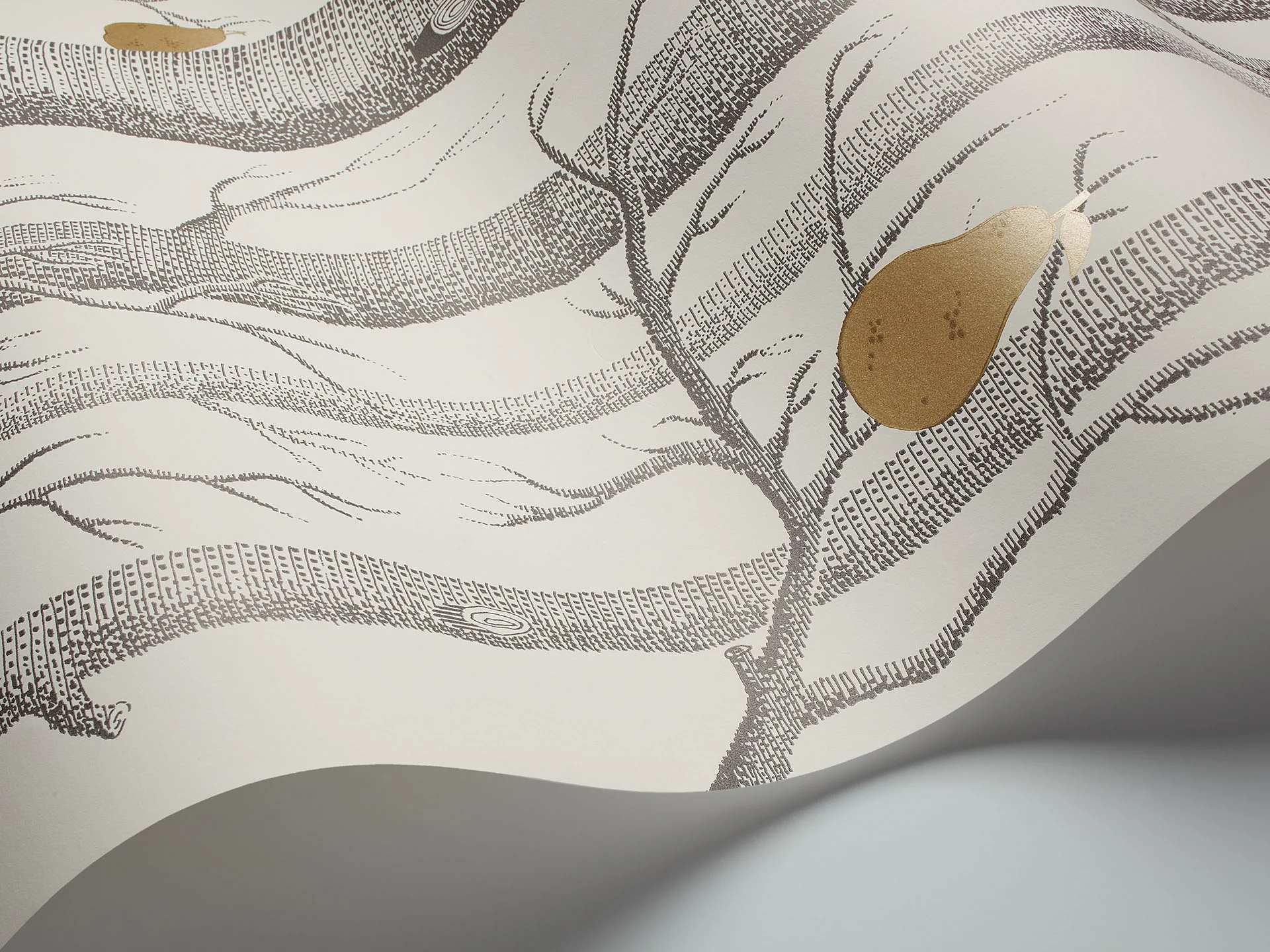 Cole & Son Woods & Pears