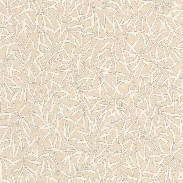 Beige ficelle