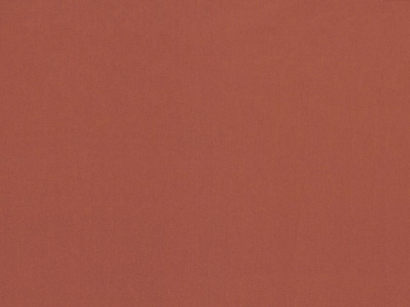344