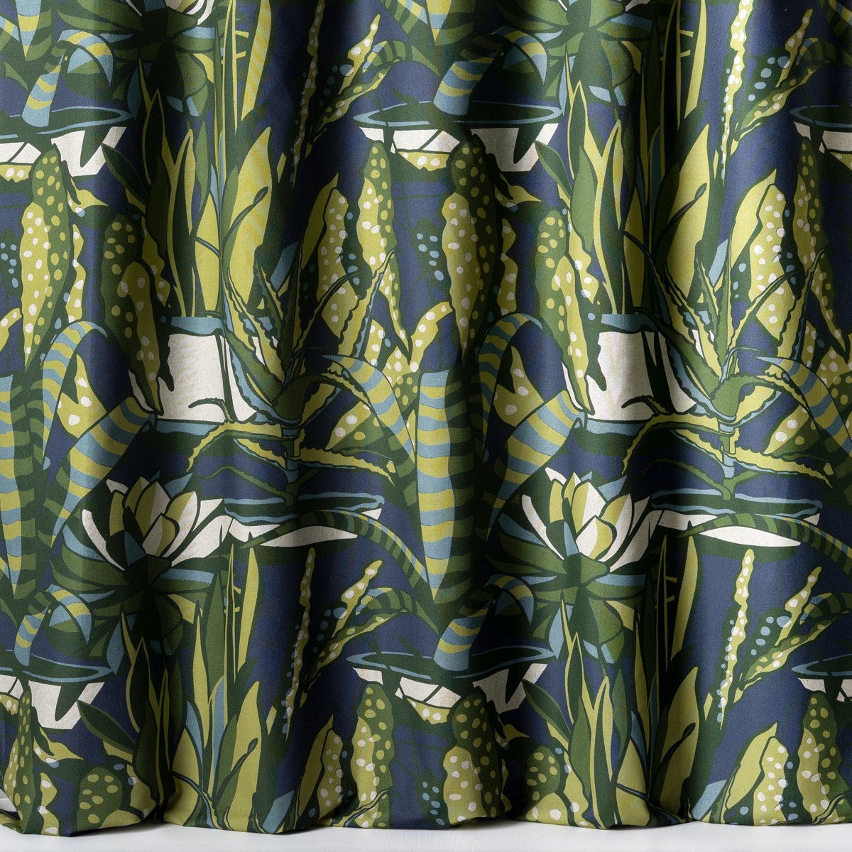 Nobilis Agaves Nobilis Agaves