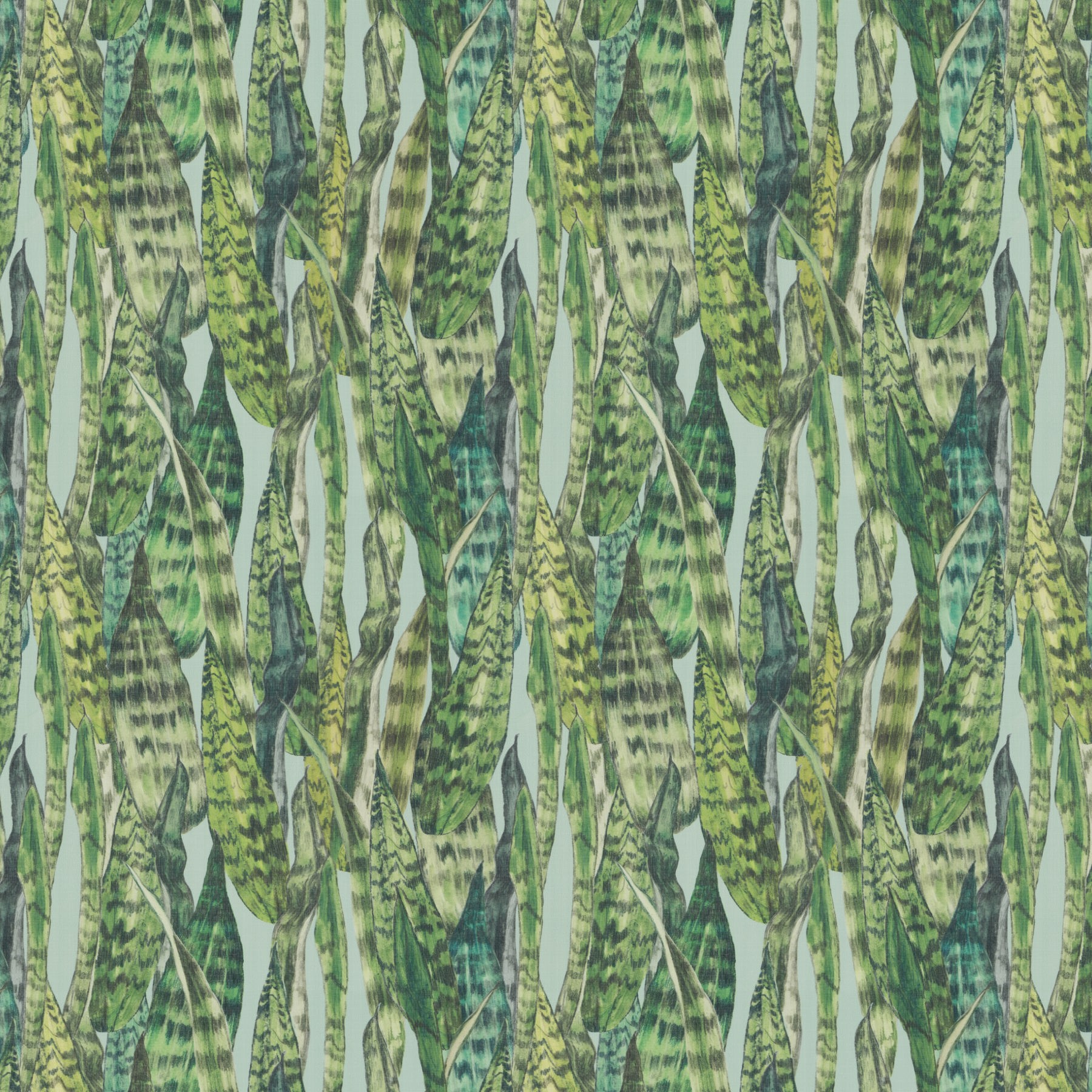 Jab Tropical Secrets 