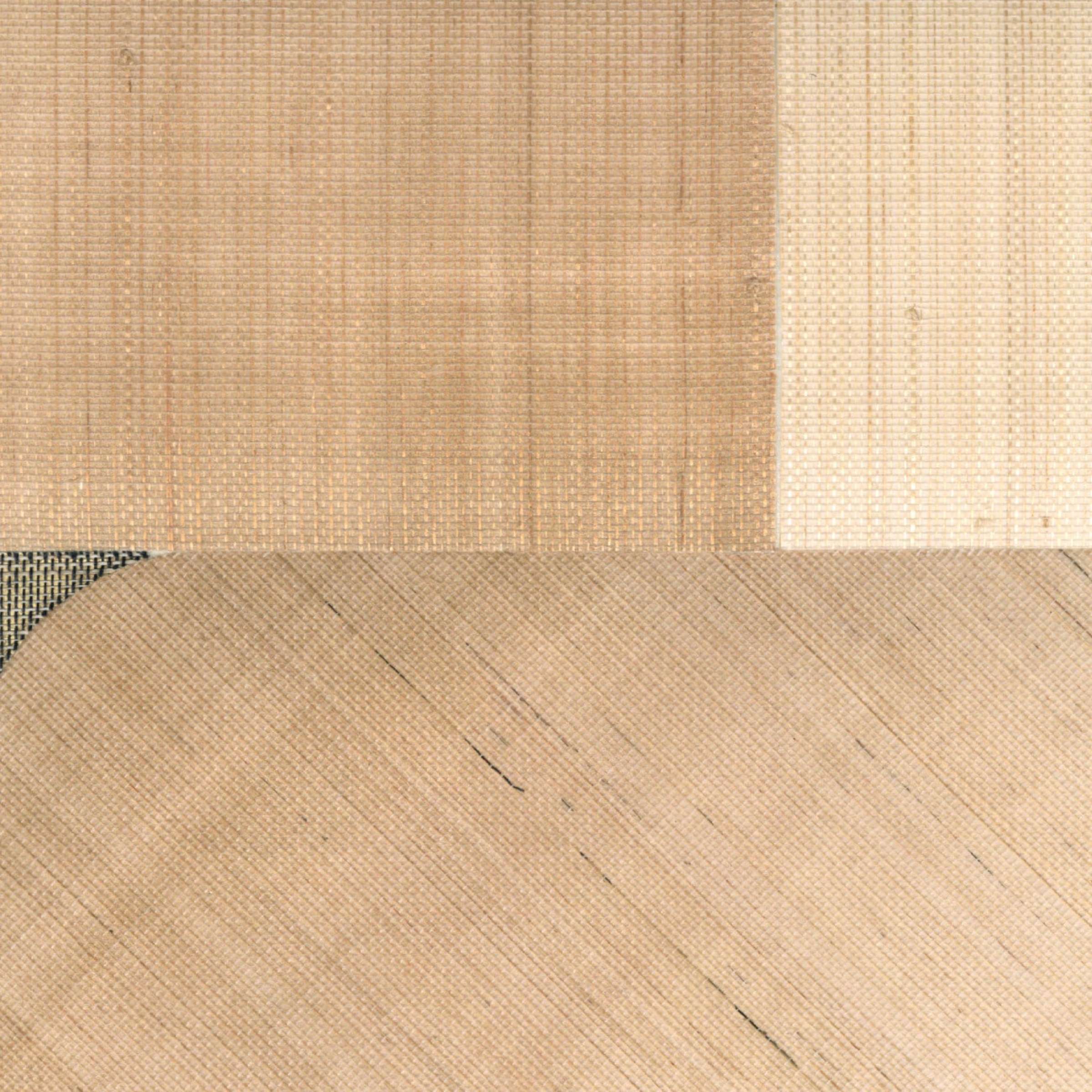 Entre ombres et lumières