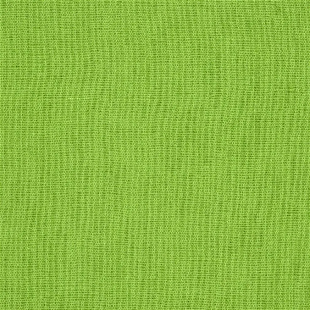 Grass