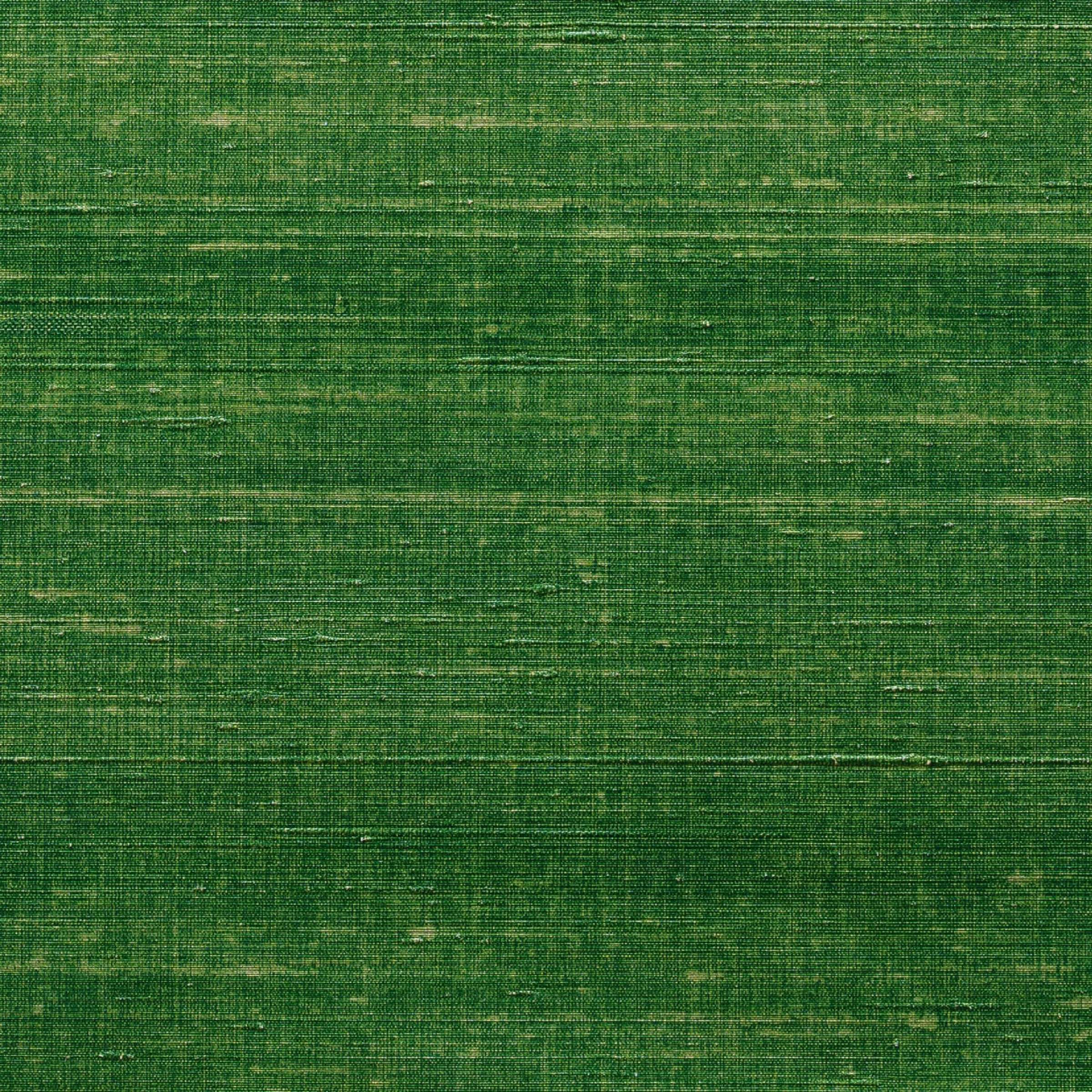 Privilège de Maharaja