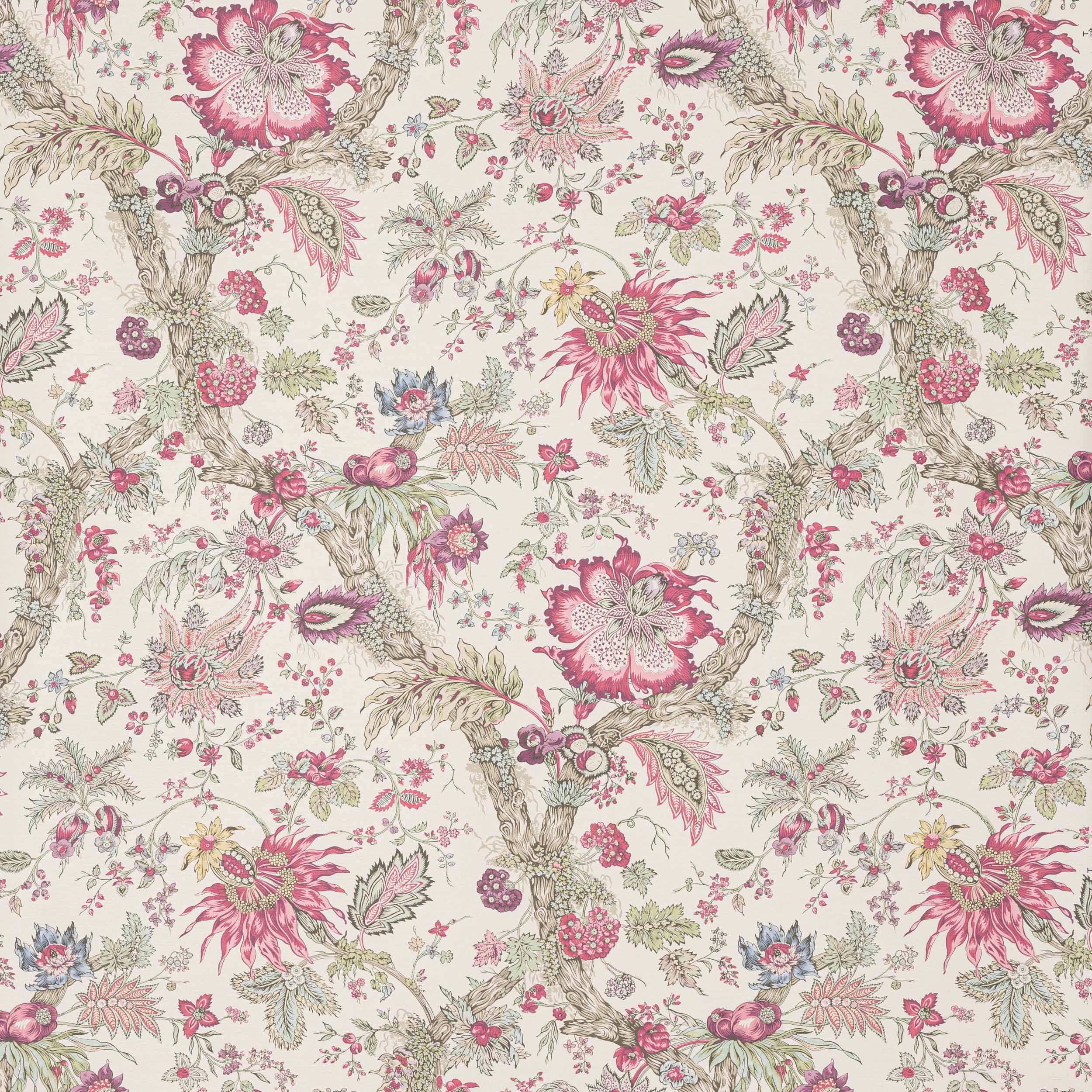 Manuel Canovas Adelaide Manuel Canovas Adelaide