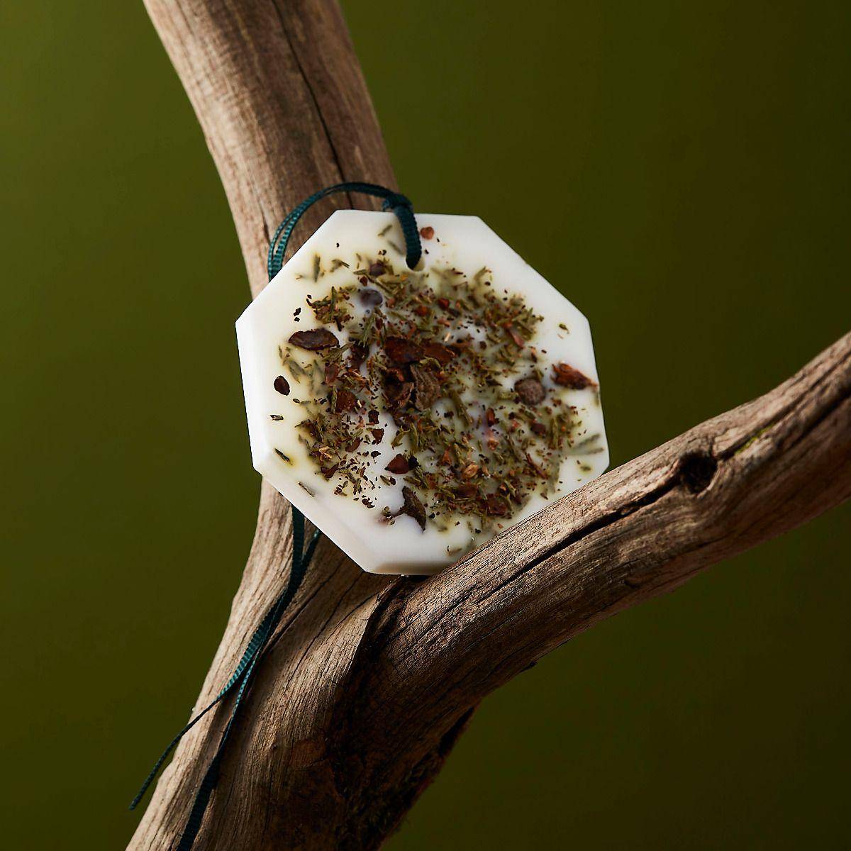 Carrière Frères Cypress (Cupressus) Carrière Frères Cypress (Cupressus)