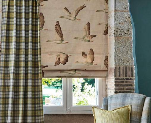 Sanderson  Elysian Geese