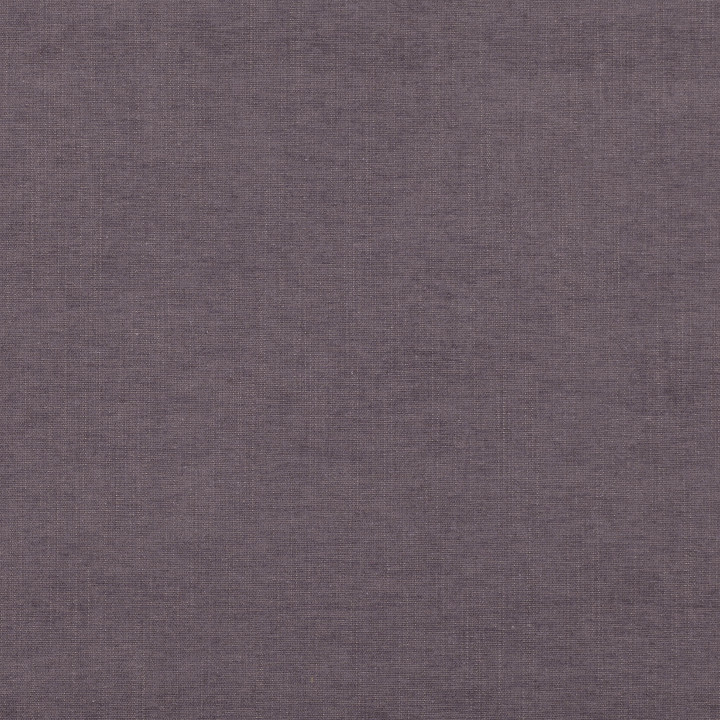 Wood Violet