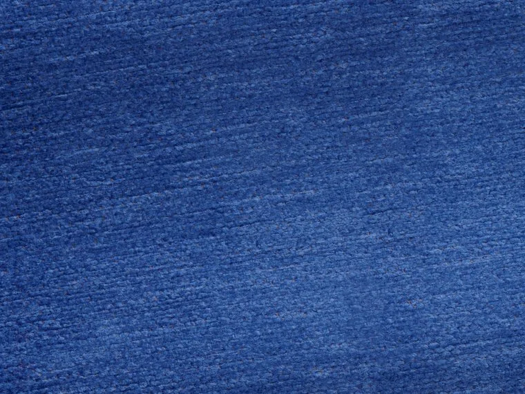 Bleuet