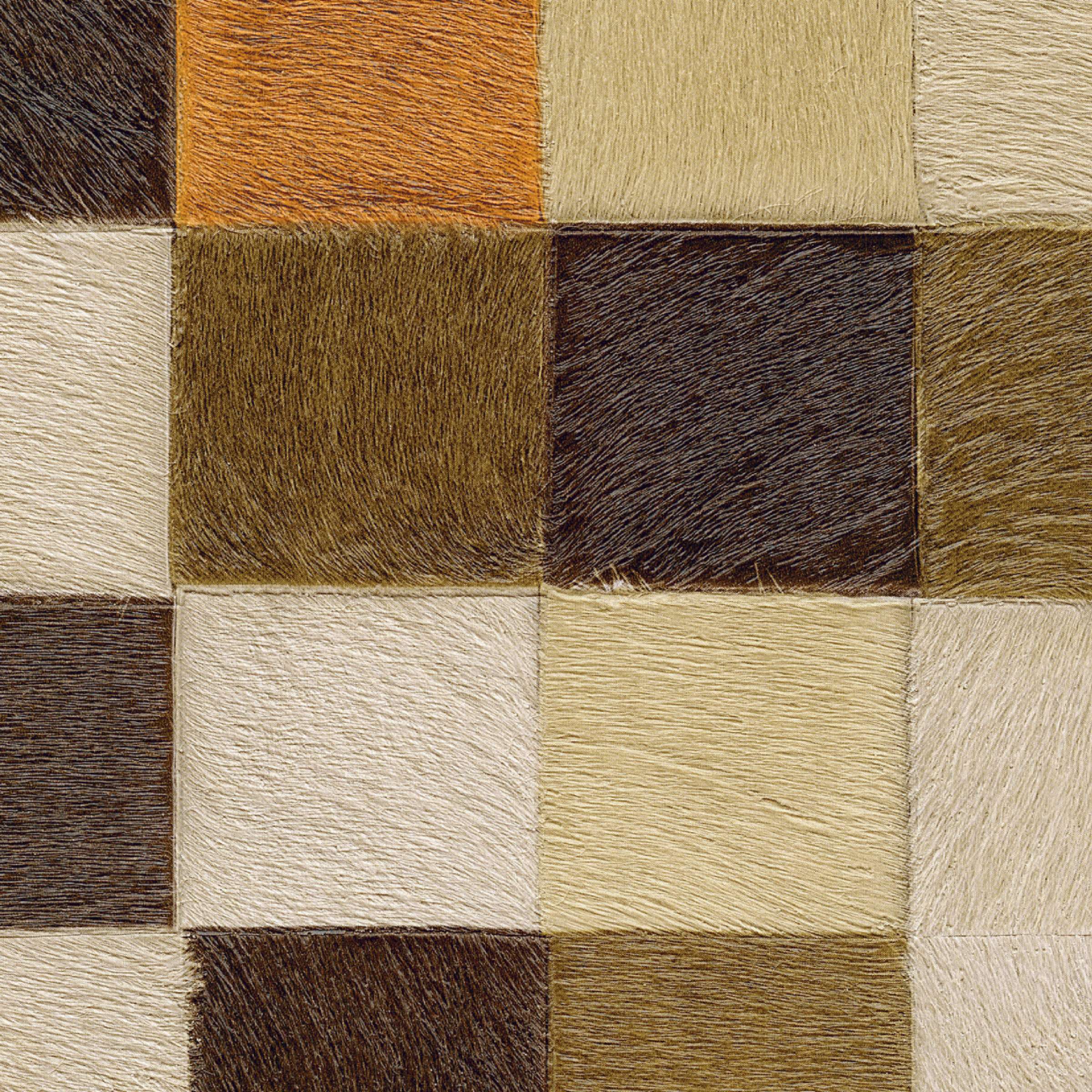 Une discipline fantasque