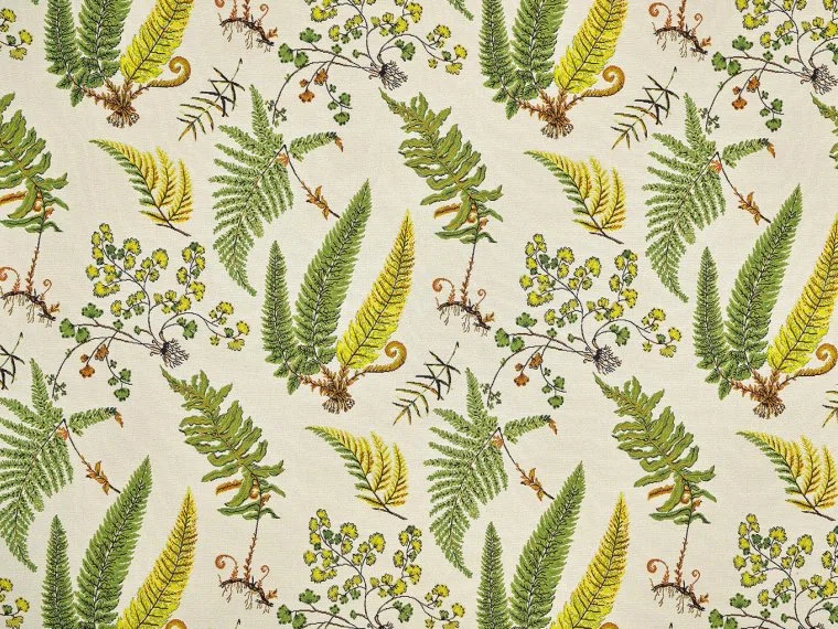 Pierre Frey Botanique