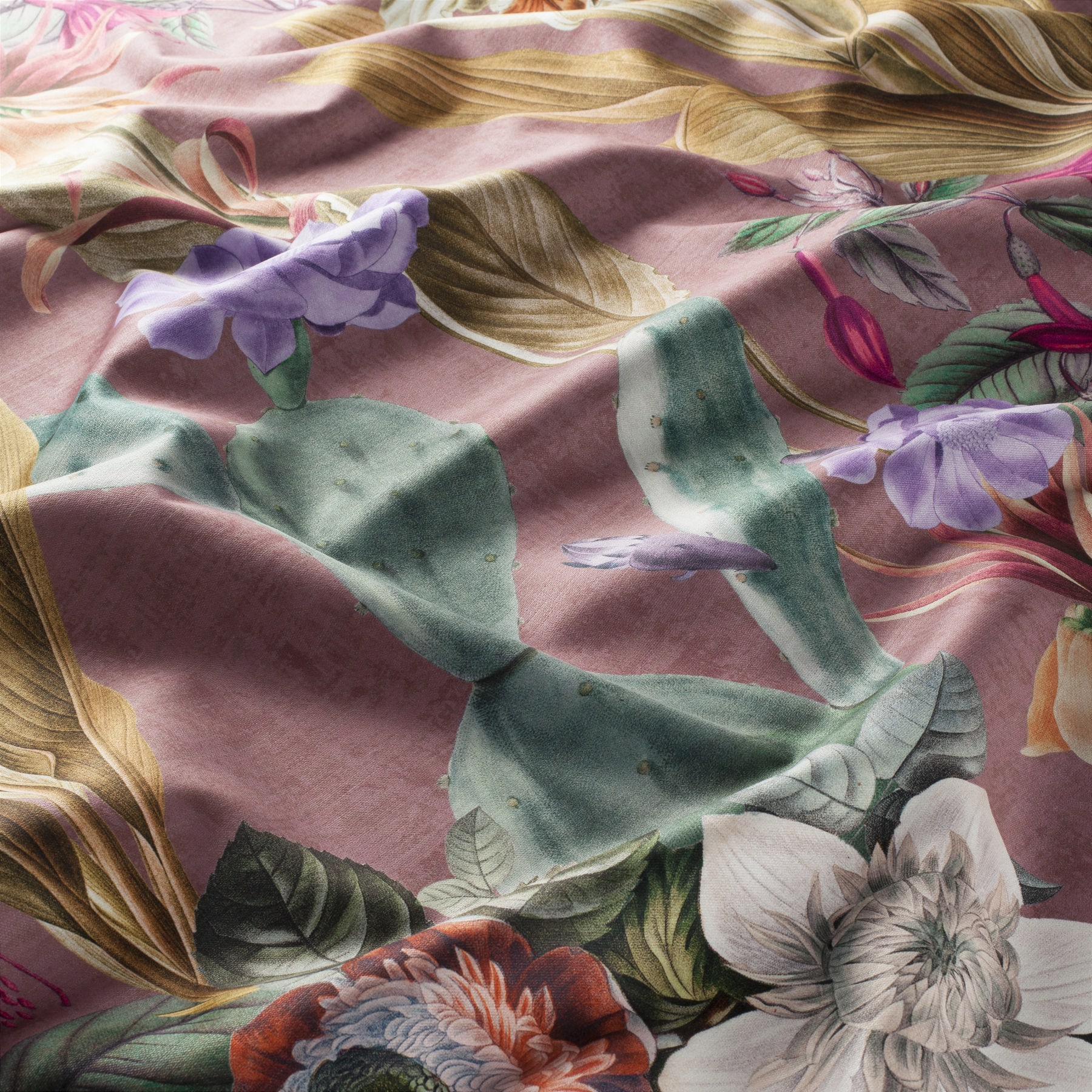 Carlucci Cosmic Flowers