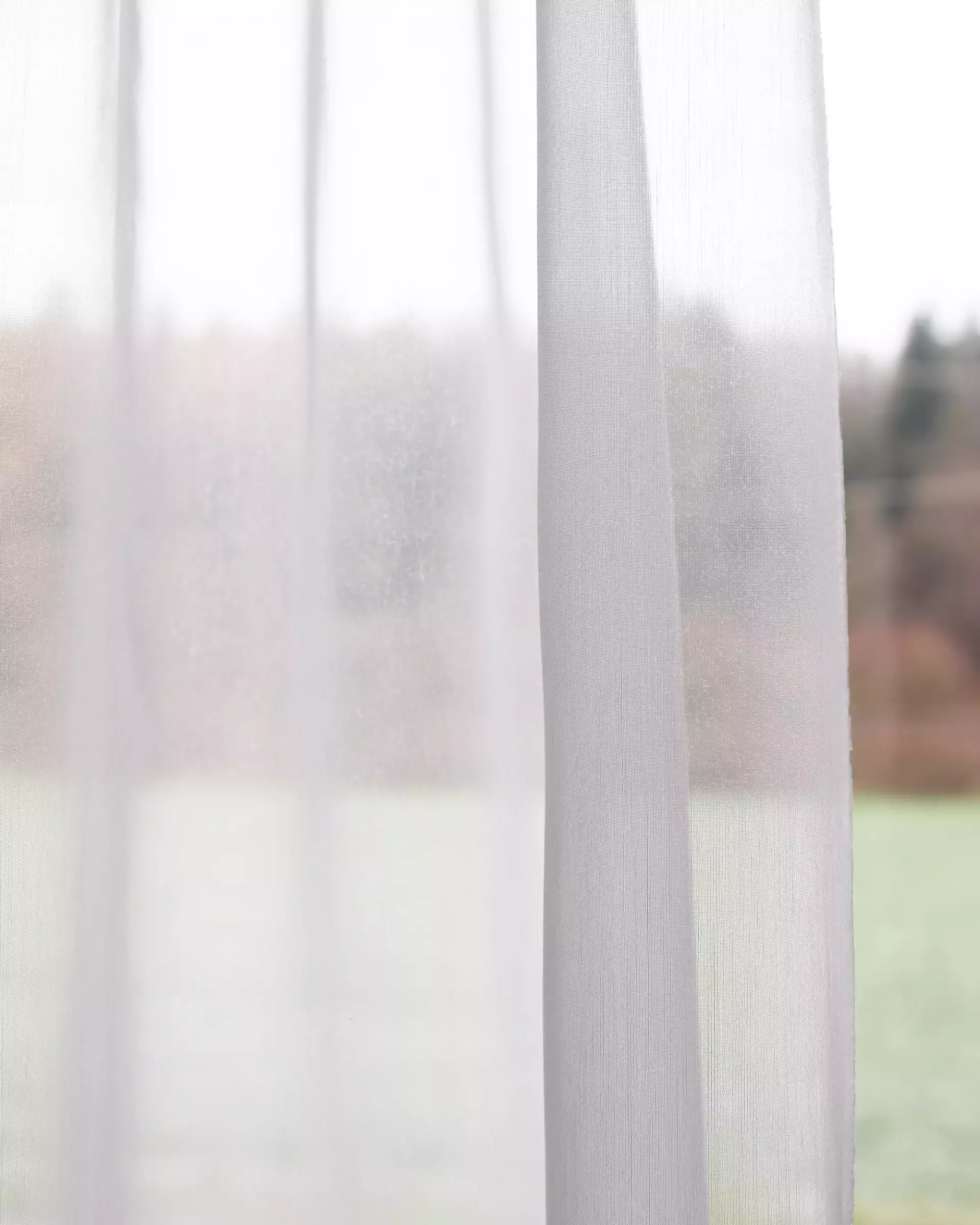 Création Baumann Solista III