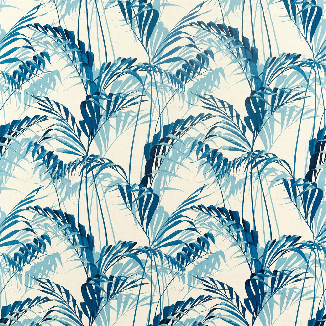 Sanderson Palm House