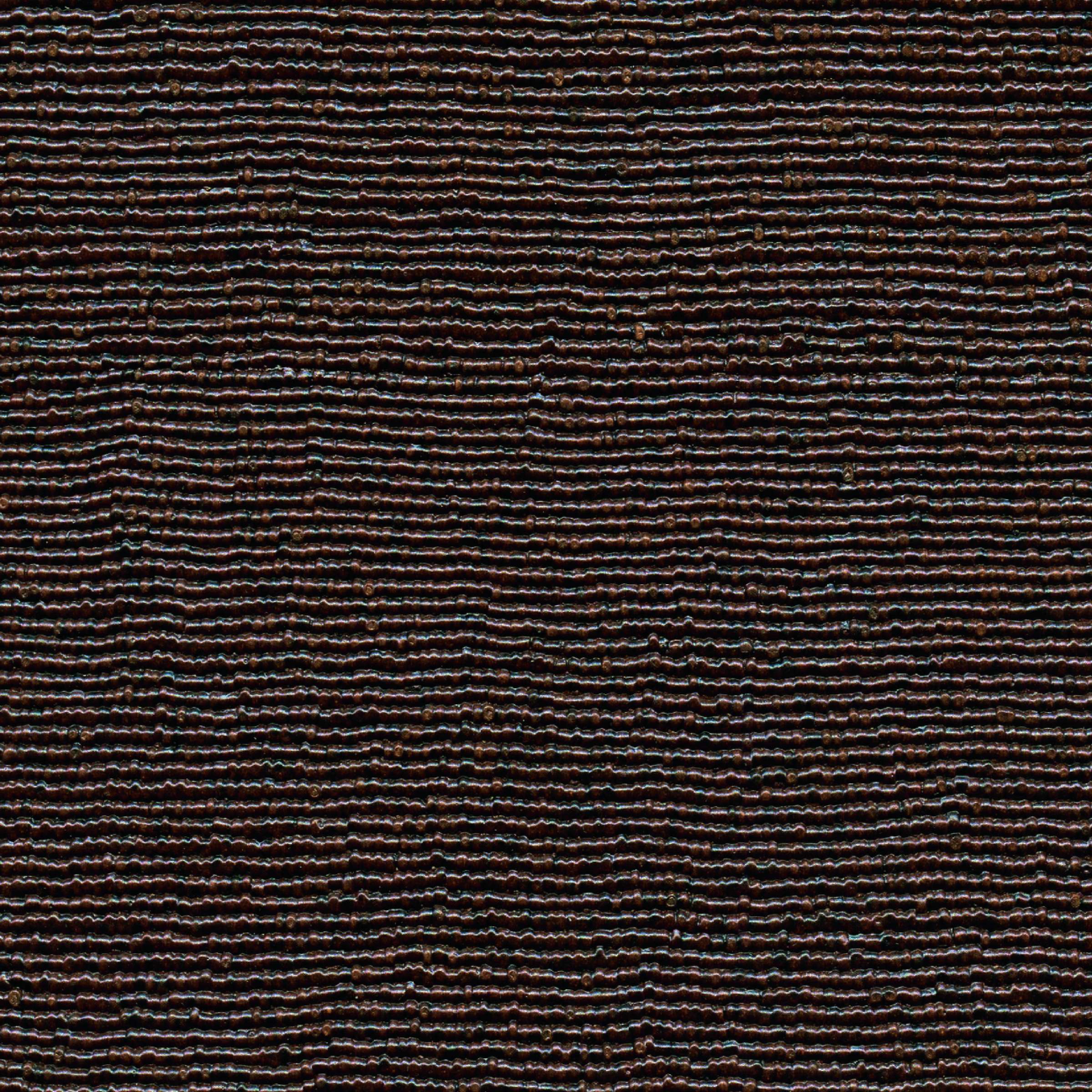 Sous le signe du lion