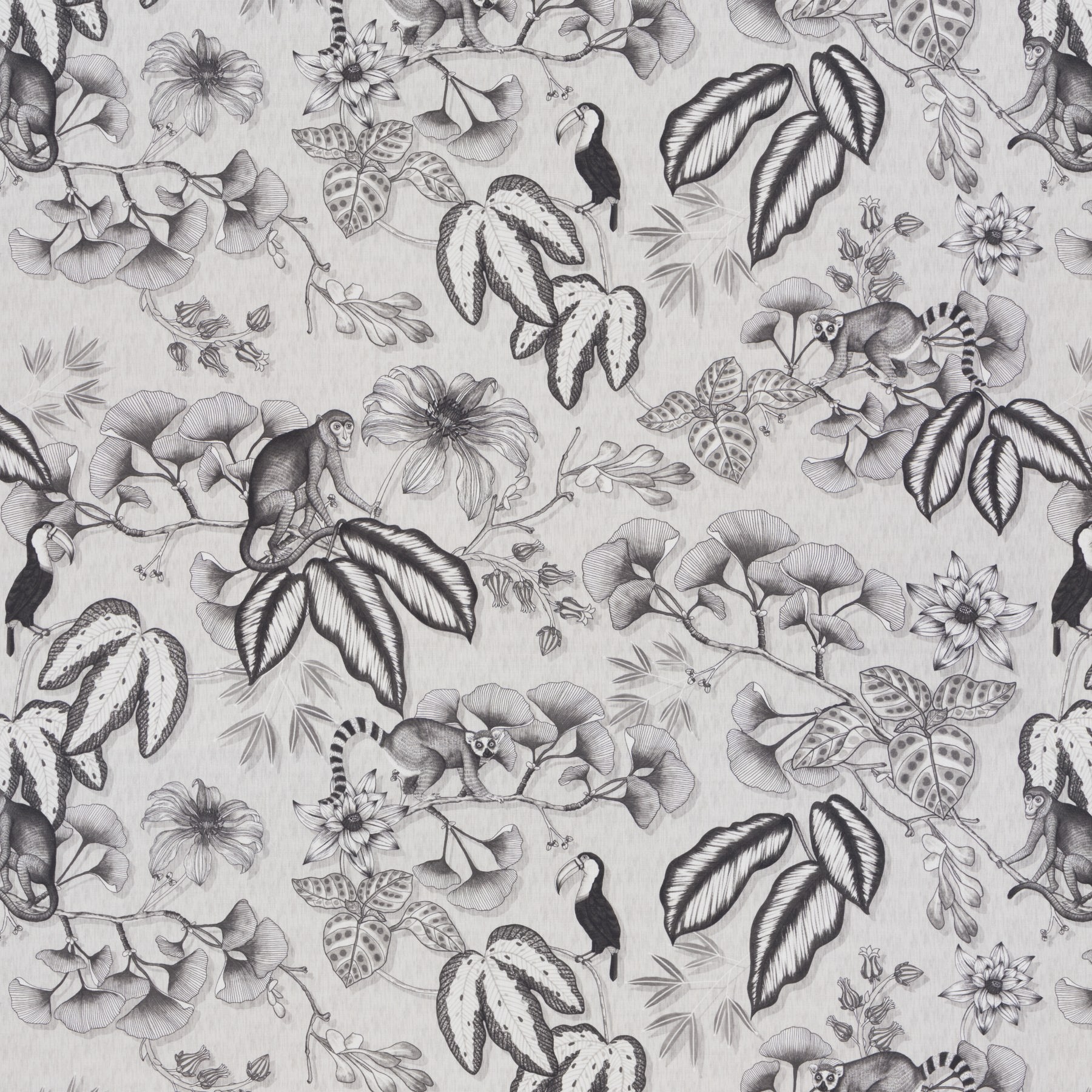 Chivasso Fantastic Madagascar