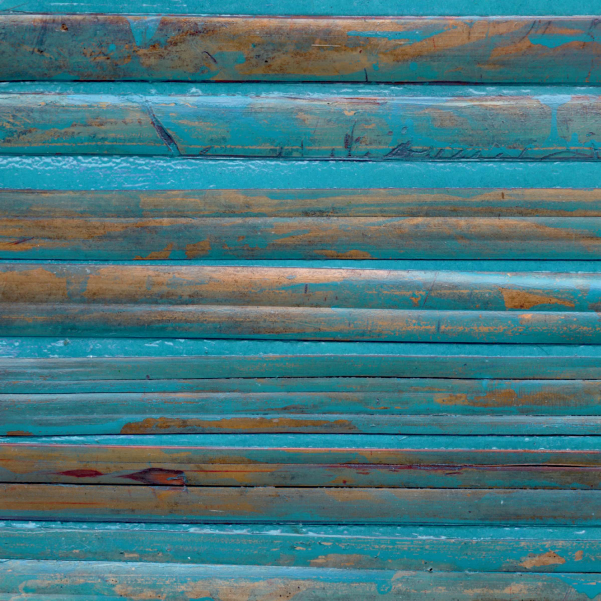 Comme un paradis perdu