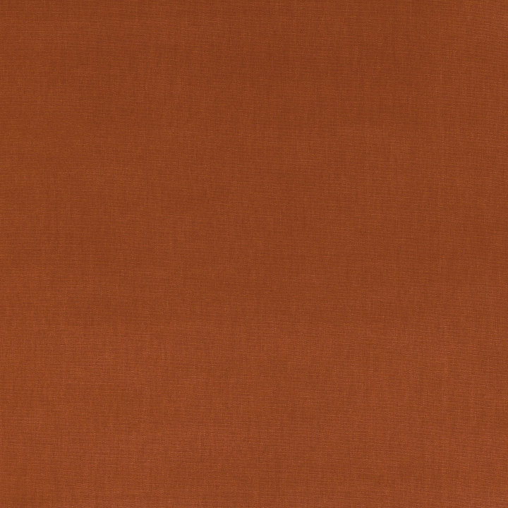 Cinnamon