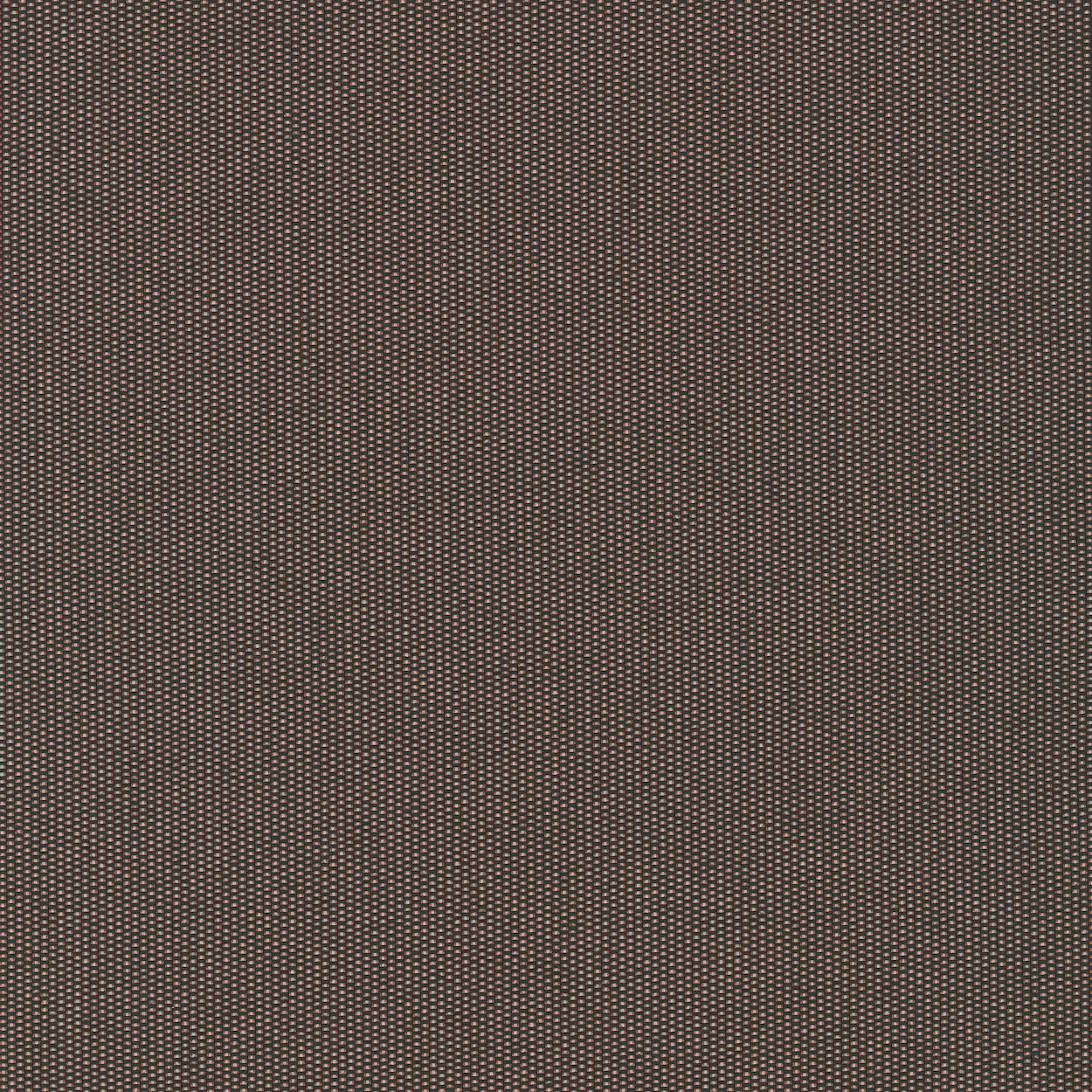 Fb. 0370