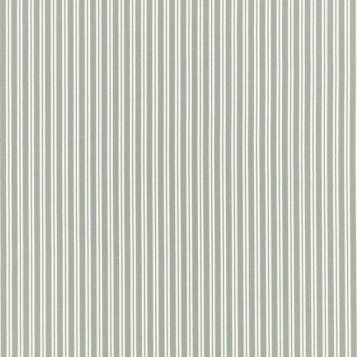 Eucalyptus