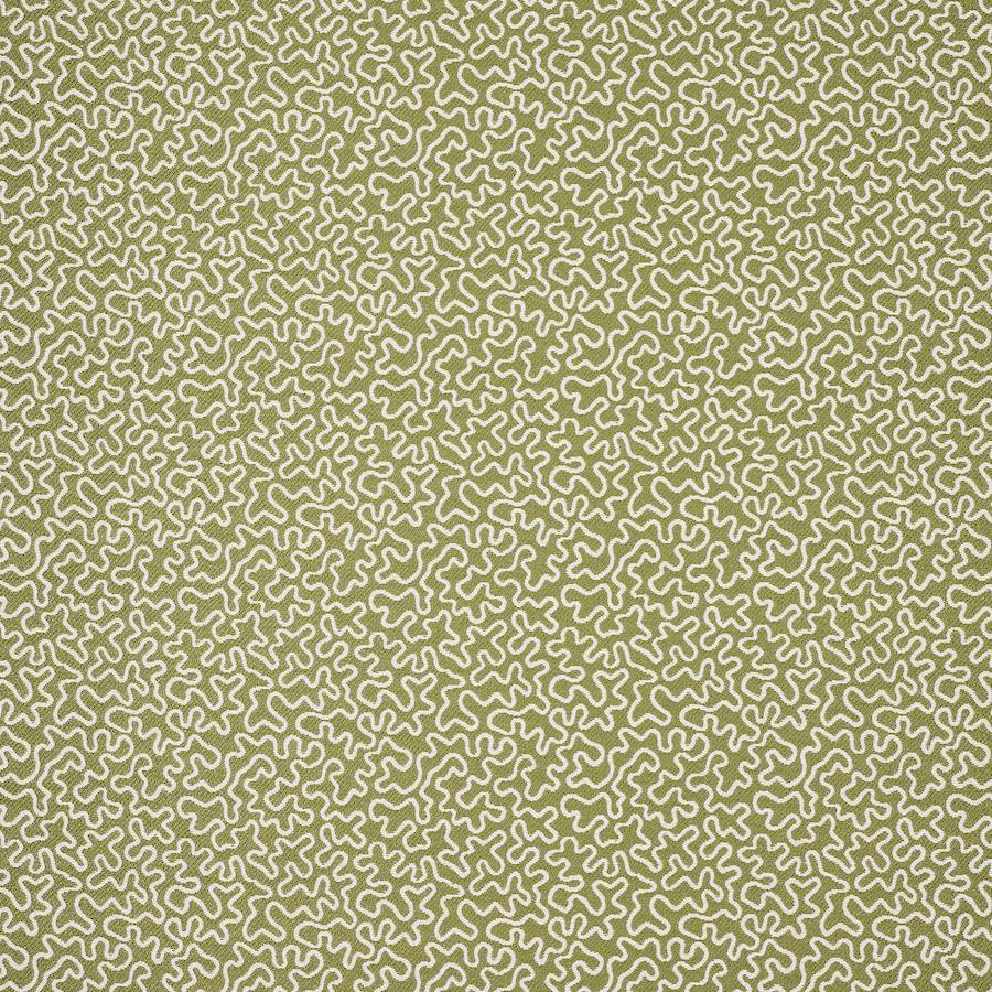 Manuel Canovas Corti