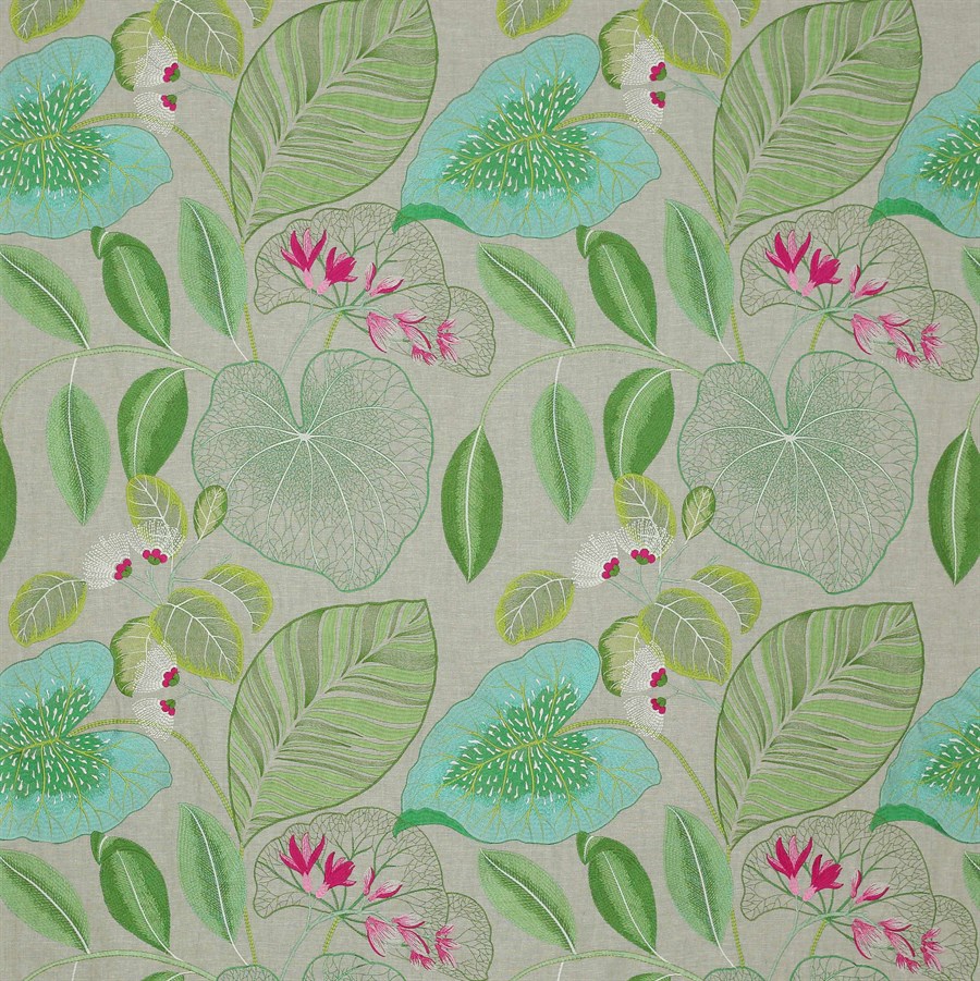 Manuel Canovas Kala