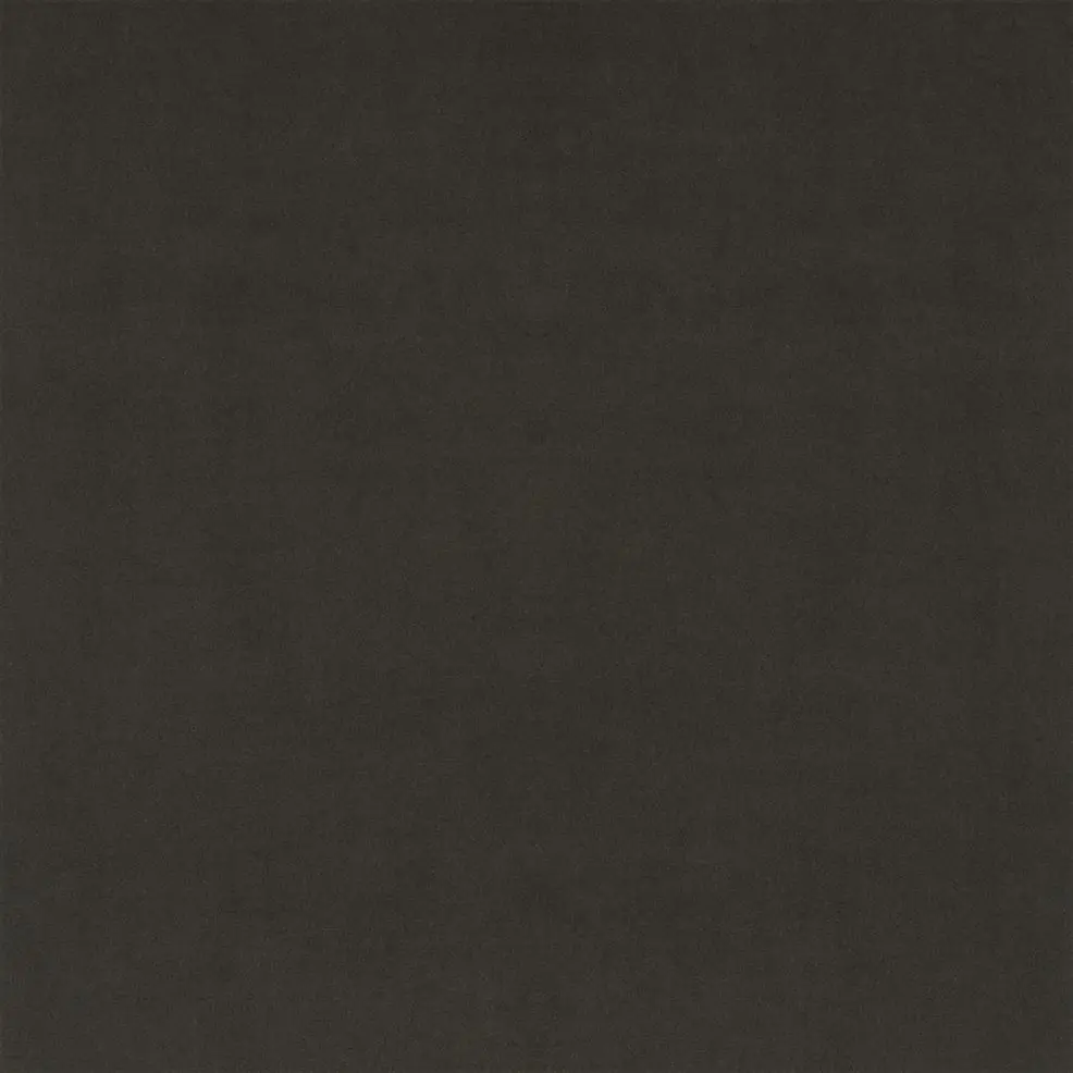 Moleskin
