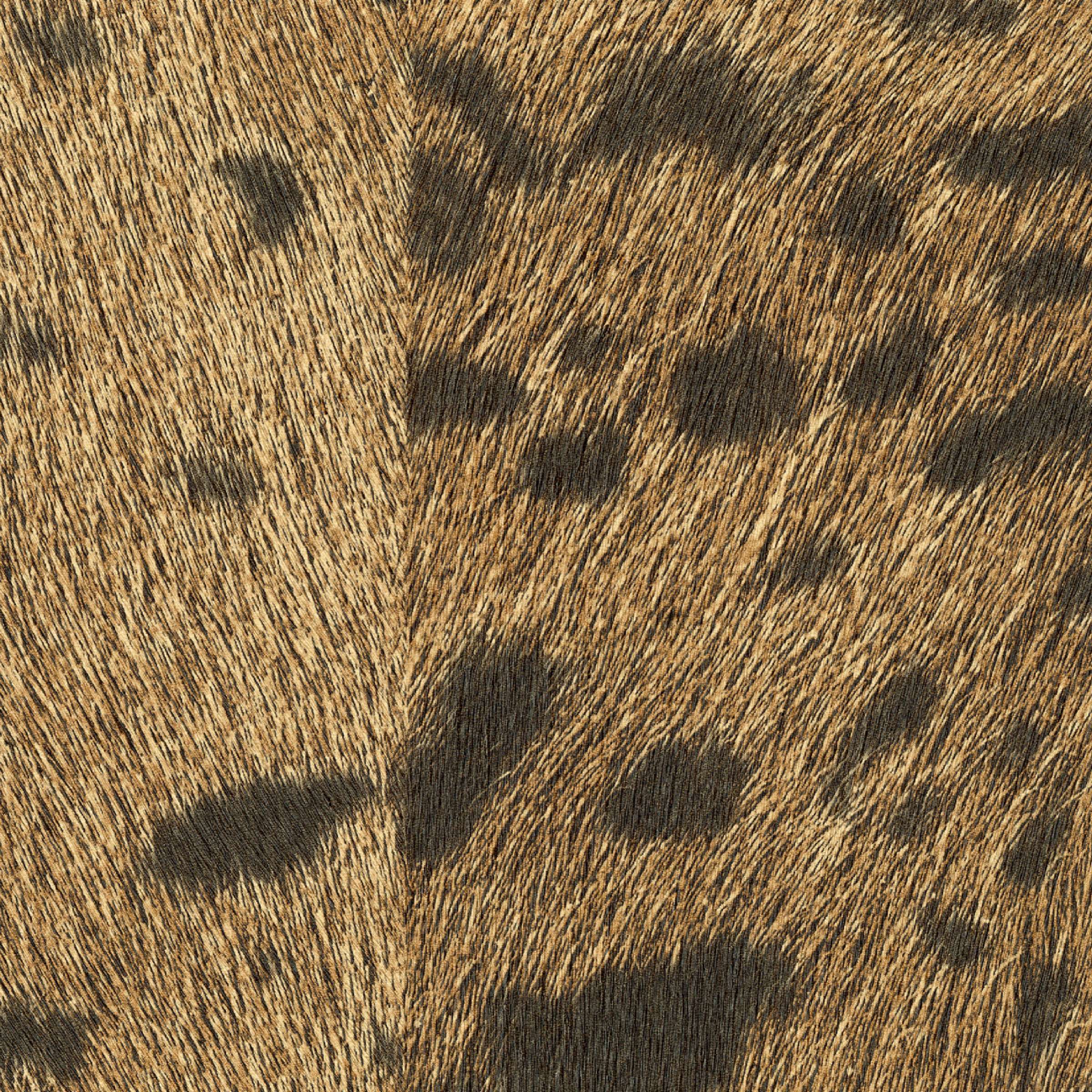 Un trophée mérité