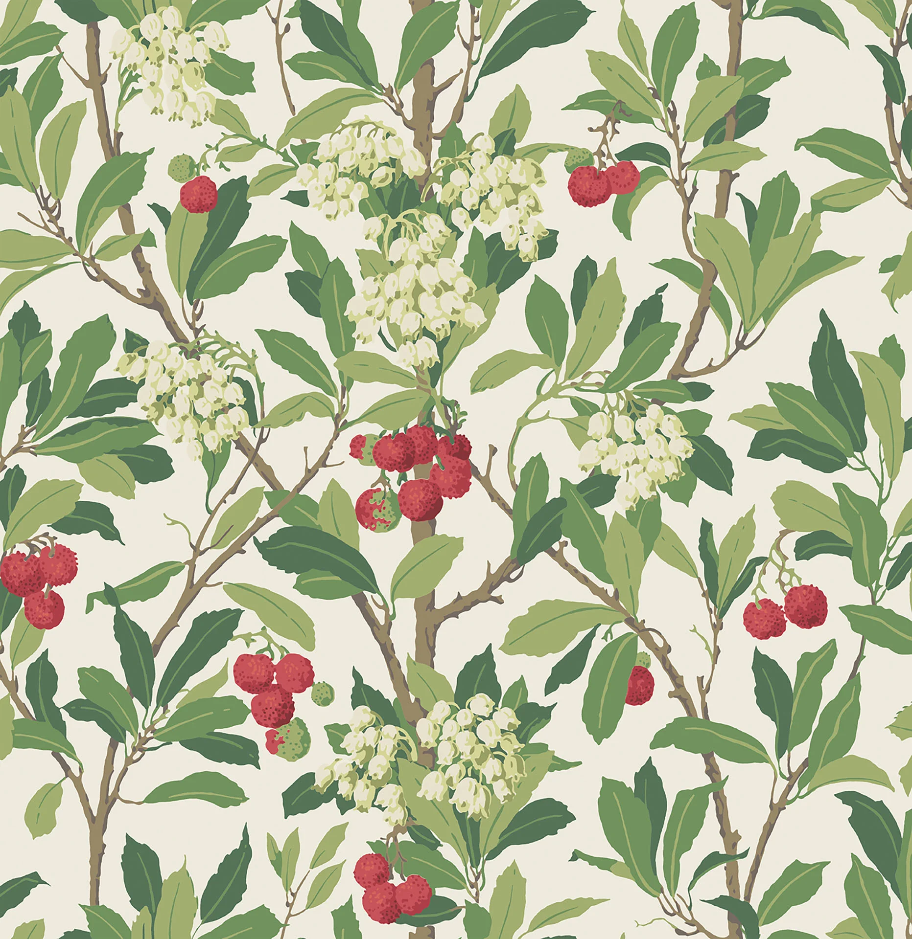 Olive, Red & Leaf Green on White