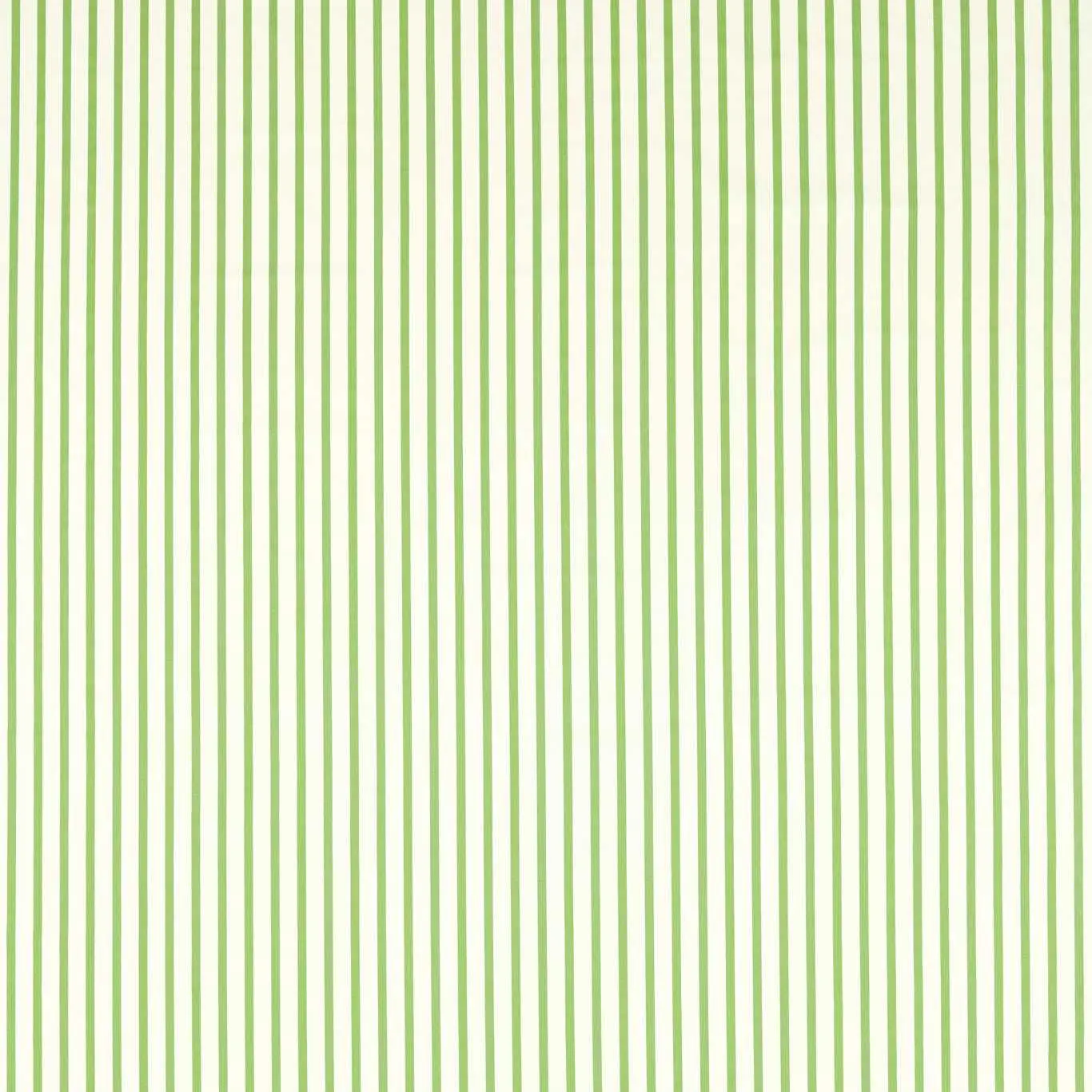 Harlequin Ribbon Stripe