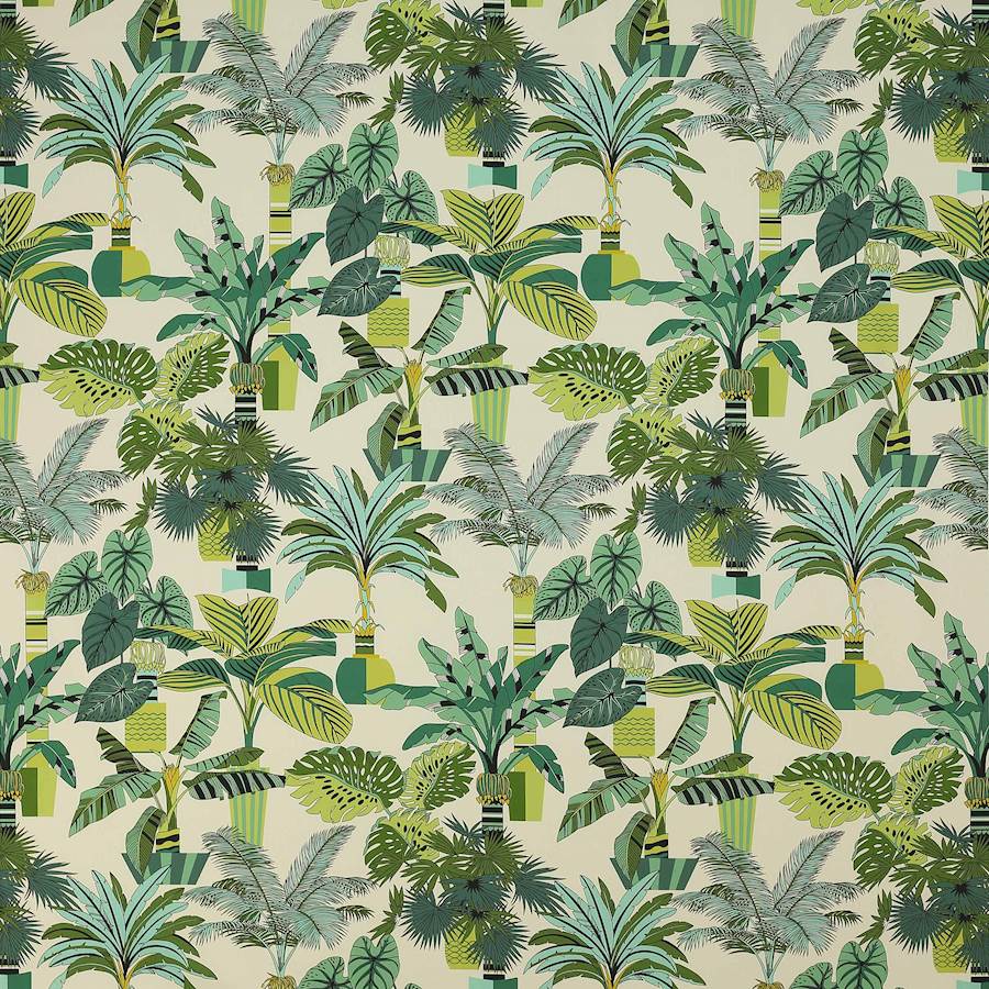 Manuel Canovas Florida  