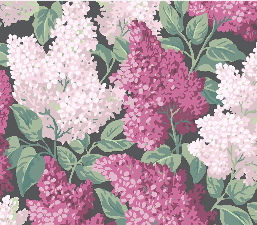 Magenta & Blush on Charcoal