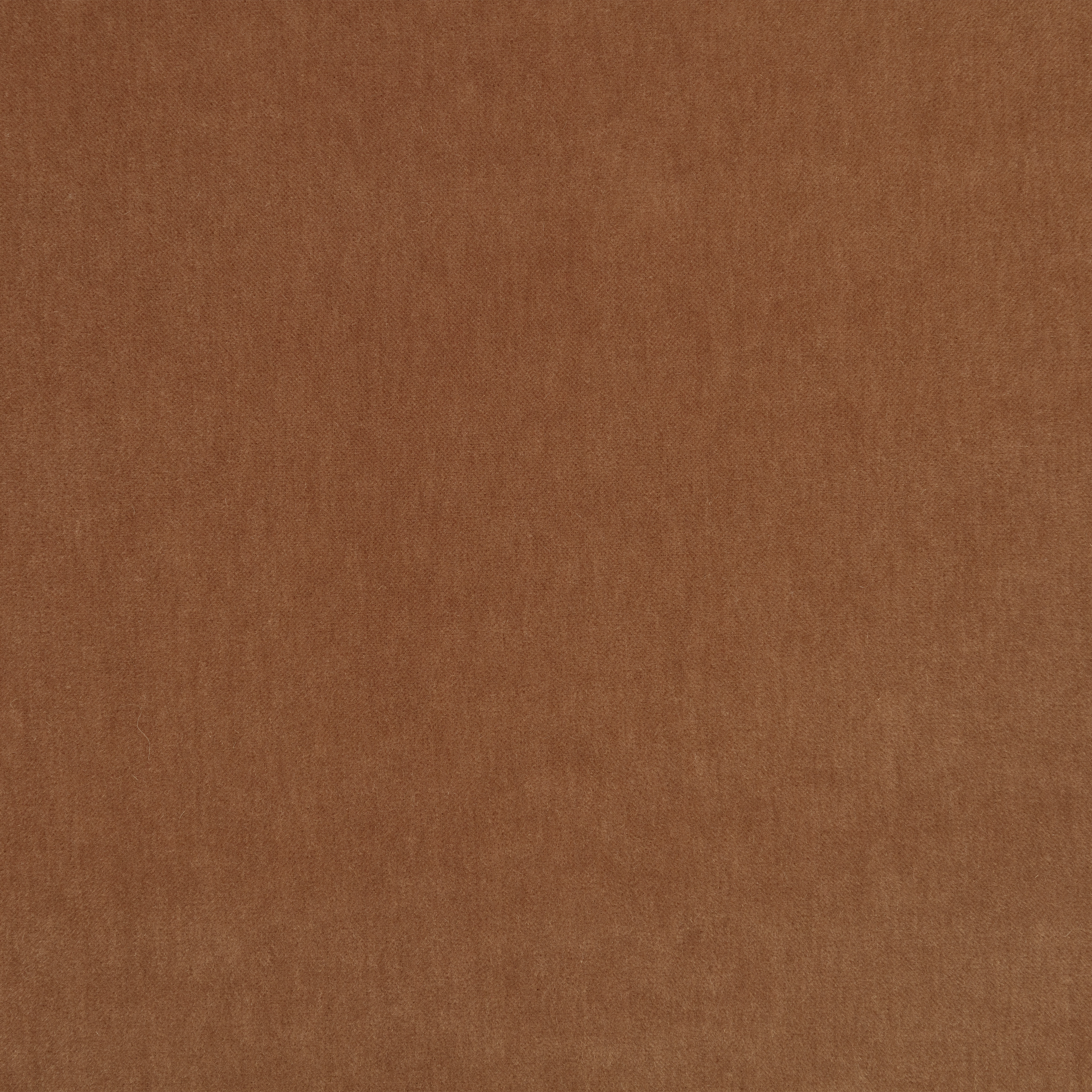 Amaretto