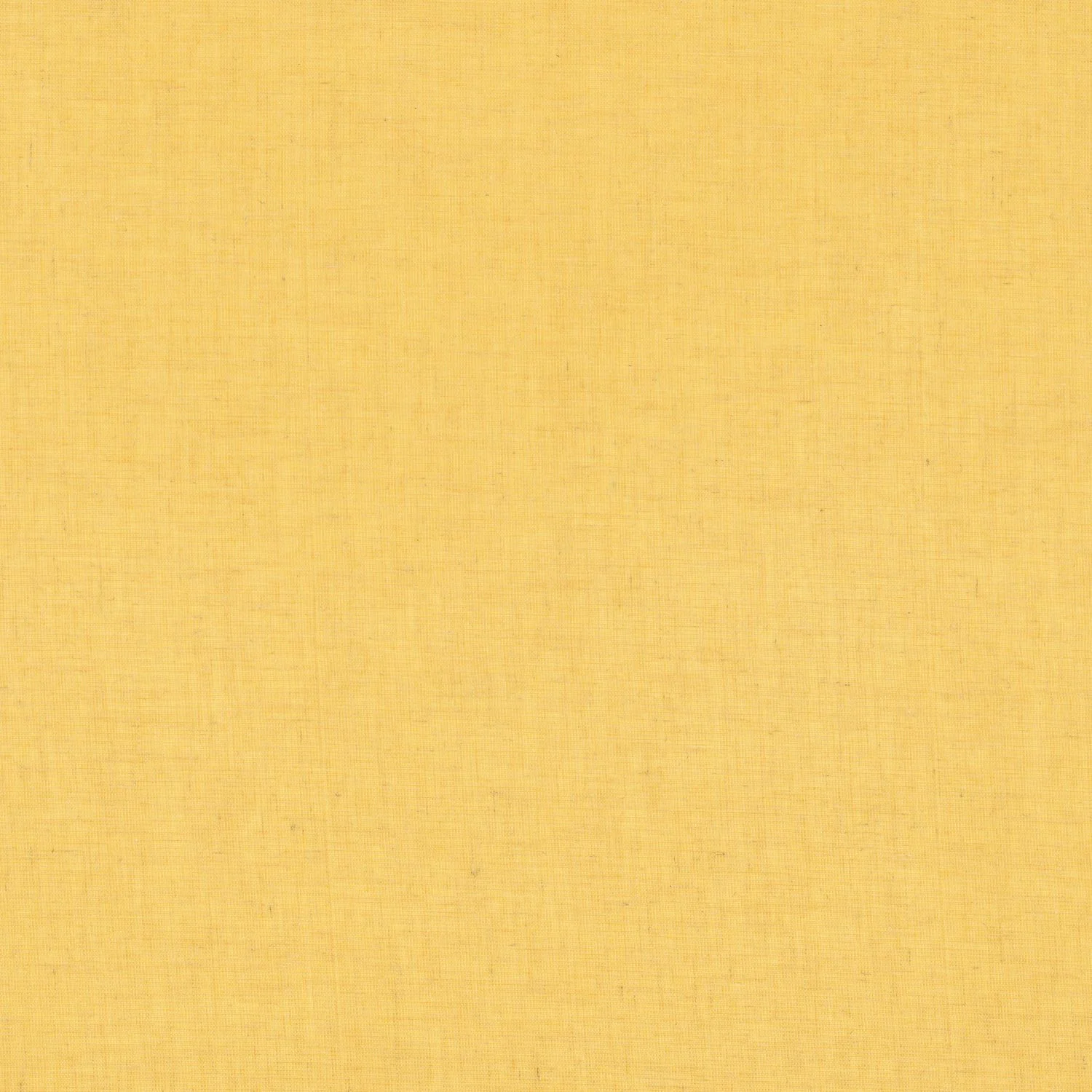 Jaune mimosa