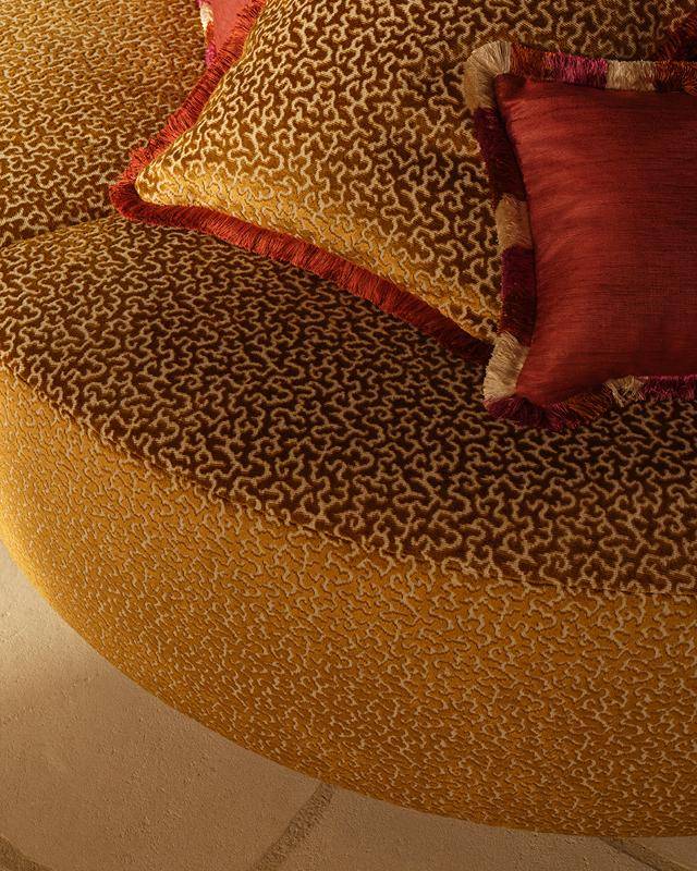 Manuel Canovas Drago