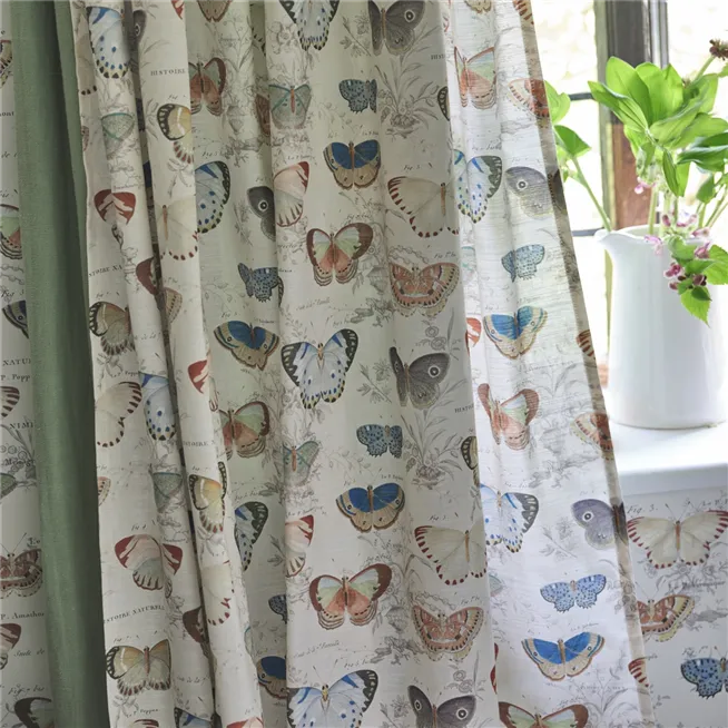 John Derian Butterfly Studies